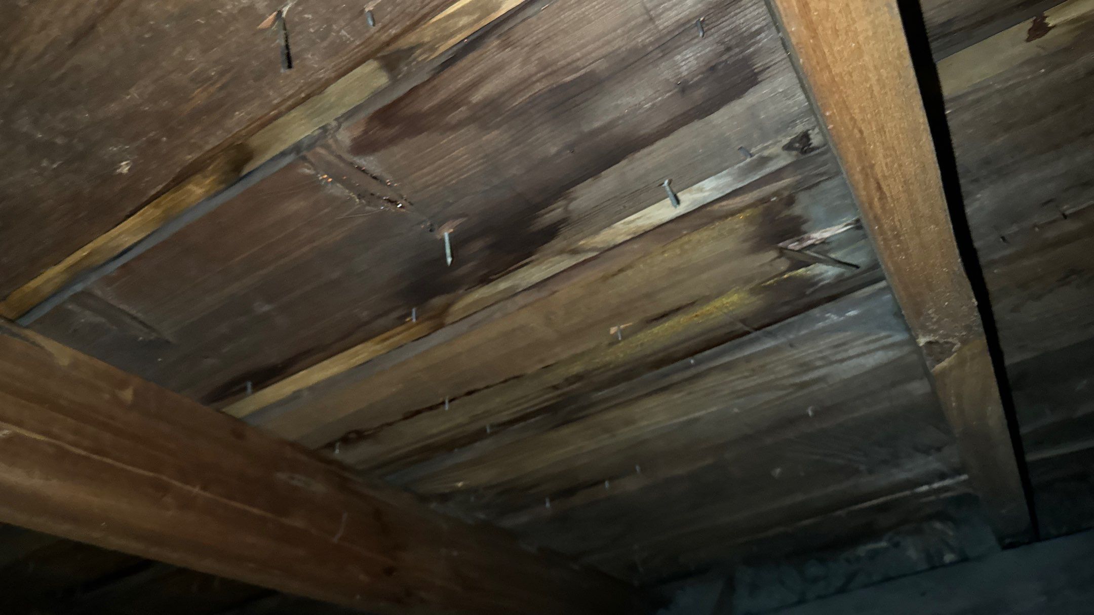 Roof Replacement using Owens Corning Summer Harvest by 180 Contractors