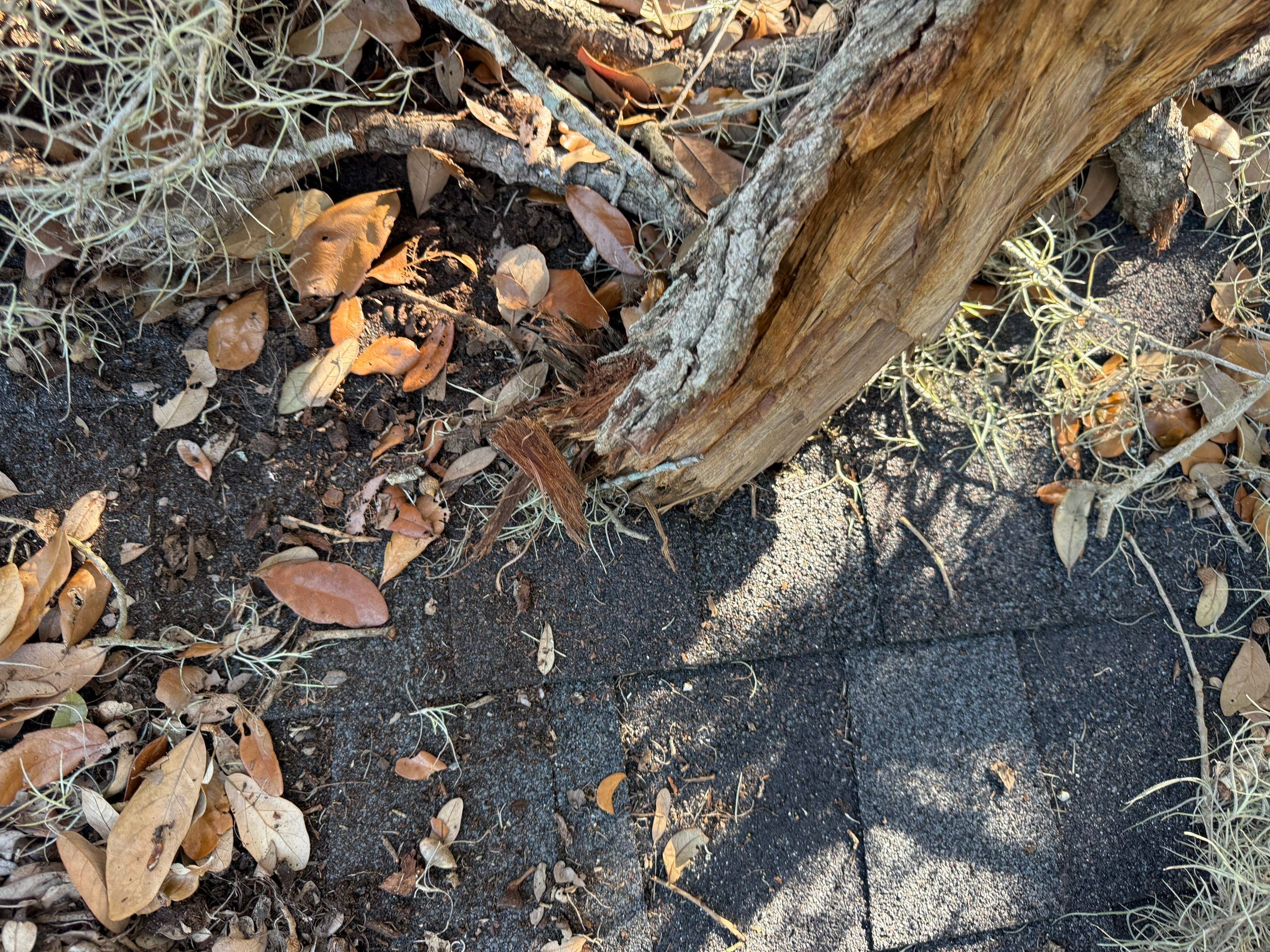 Project in Lakeland by You Restorations LLC DBA YOU-Home