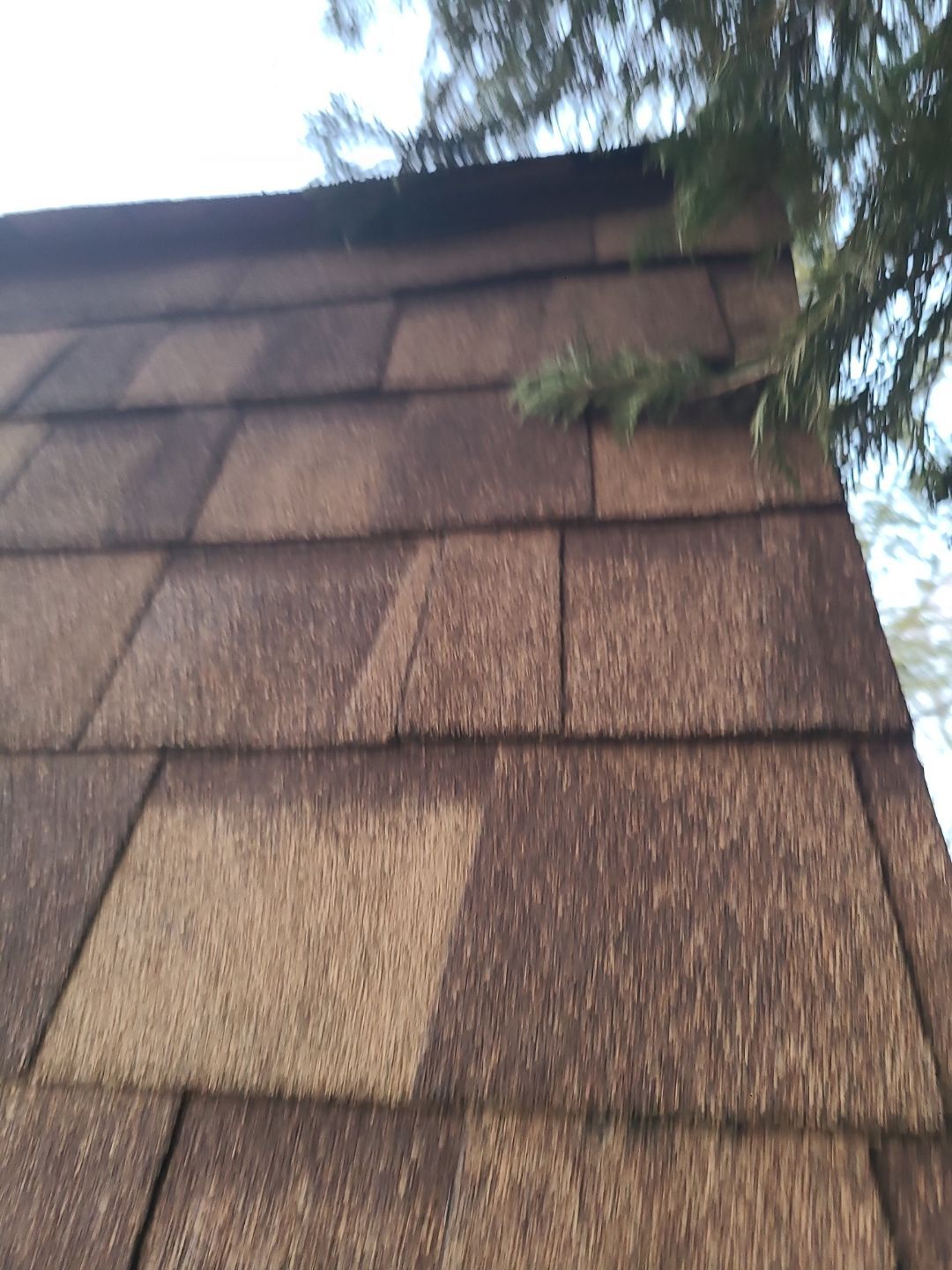 Great Falls: Residential Roof Replacement with CertainTeed Landmark Pro in Max Def Resawn Shake by RM Banning, Inc.