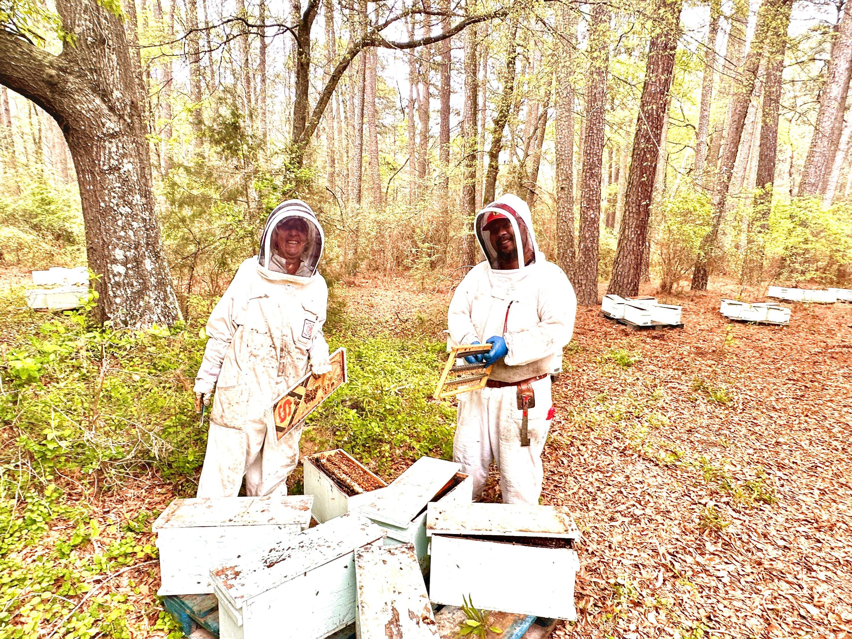 Tree Farm Apiary by Rockwall Honey Bee Company