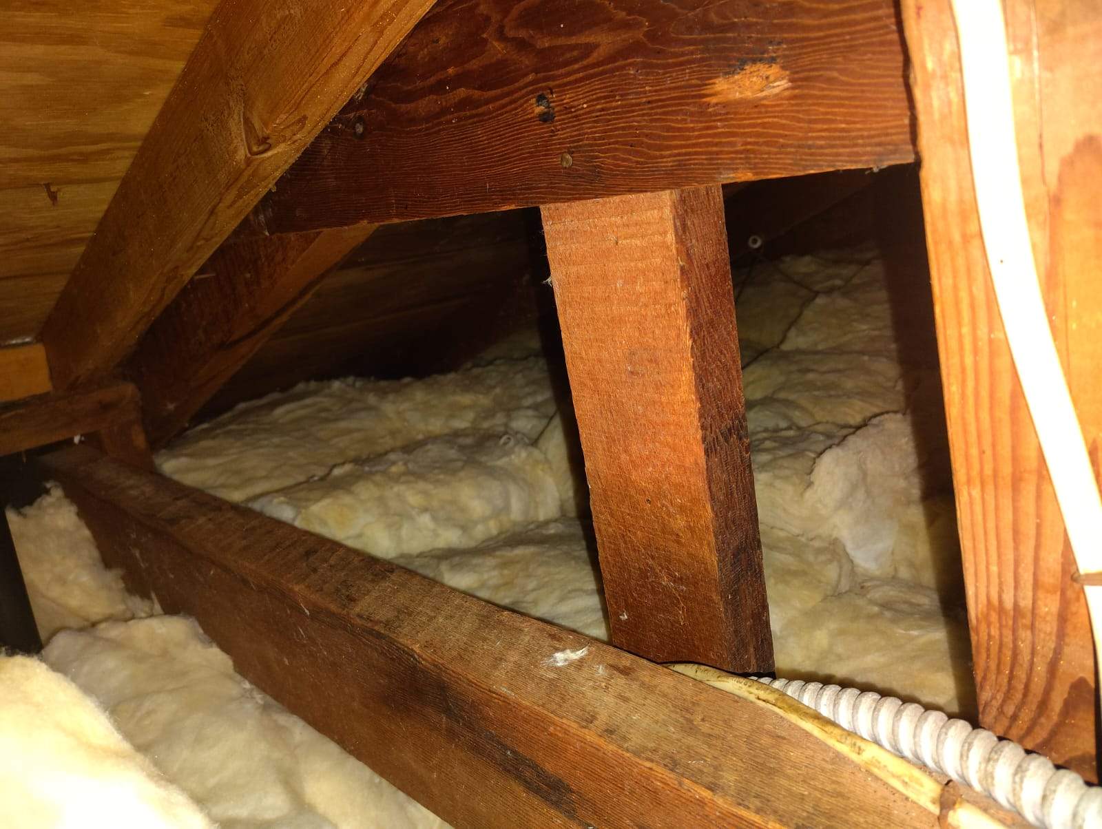 Project by Advanced Attic Solutions by Advanced Attic Solutions