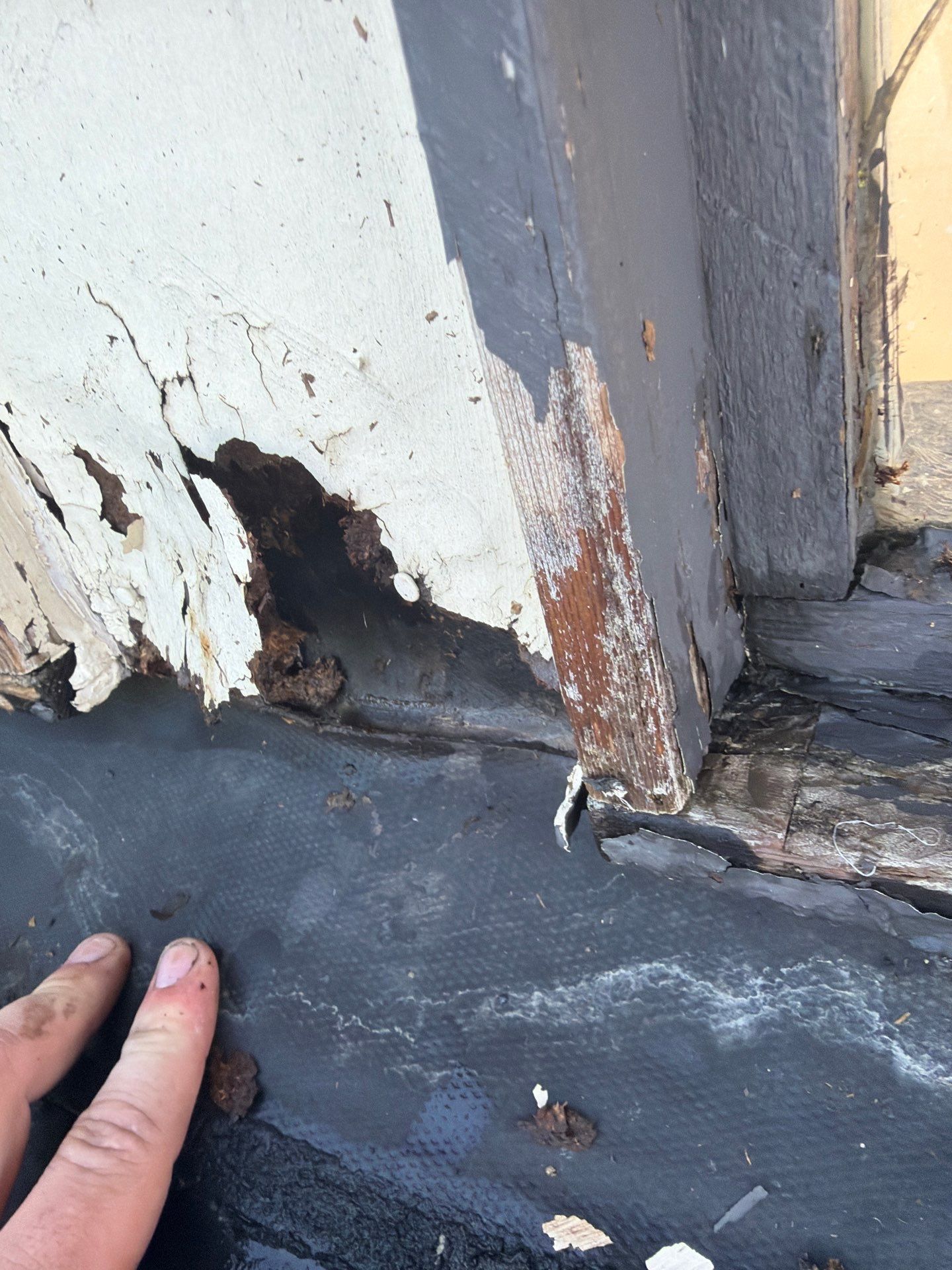 Single-Ply Roofing System – Greenleaf Commercial by Tillotson Enterprises
