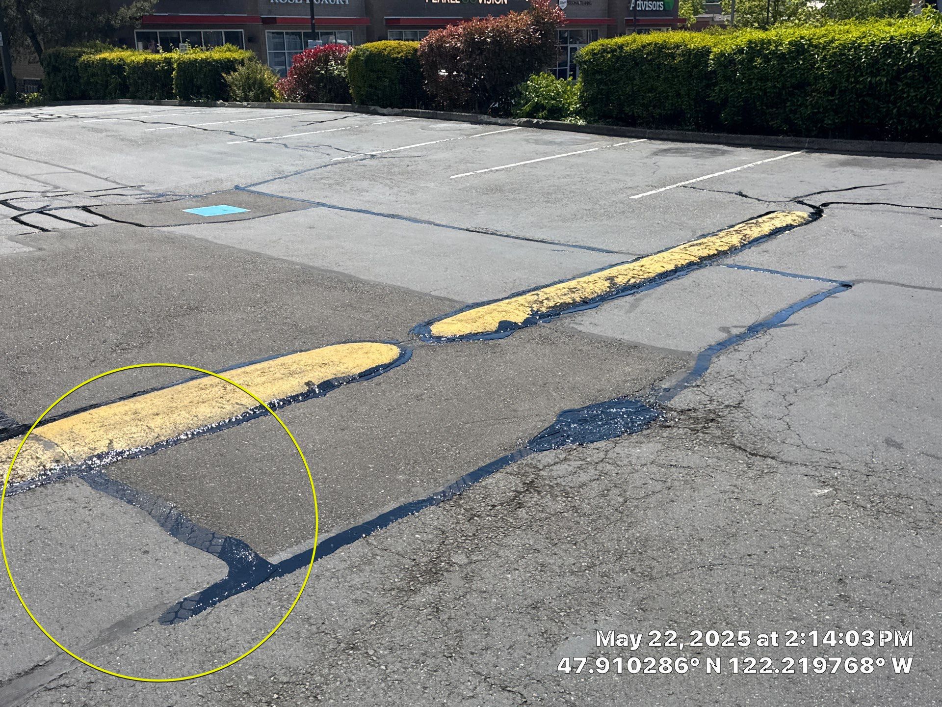 Sealcoat Parking Lot Renovation | Everett  by Jireh Asphalt & Concrete Inc 