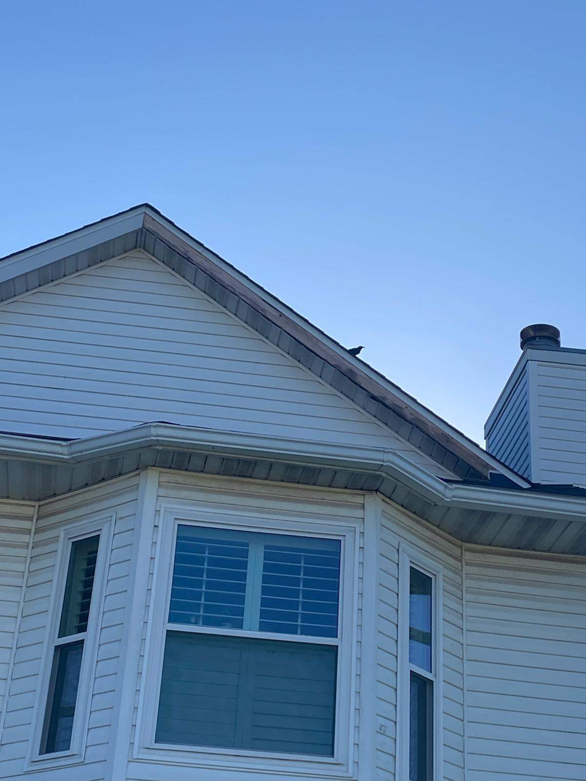 Roof Flashing Repair – Hamel, IL by Legendary Services Company LLC.