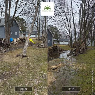 Tree Removal using Bobcat