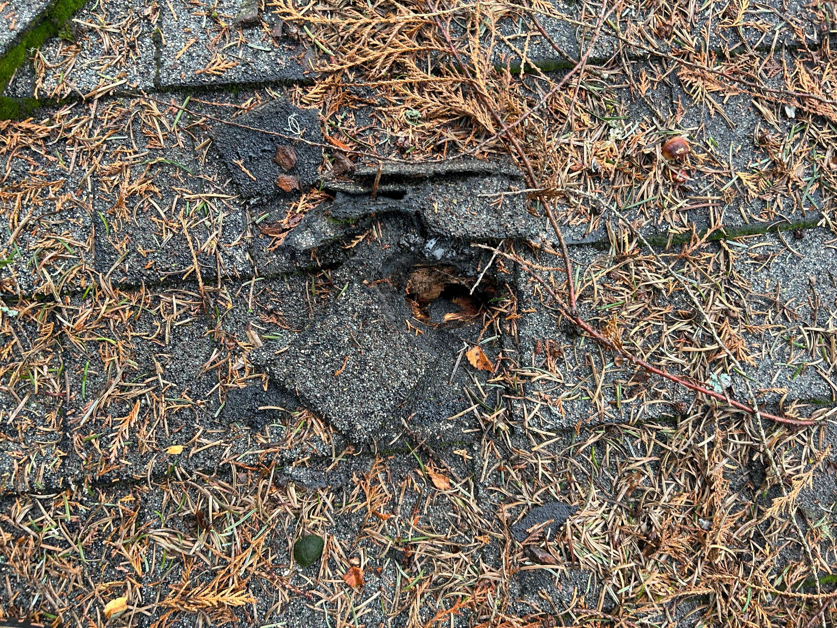 Roof Replacement in Hillsboro by Prodigy Roof Solutions