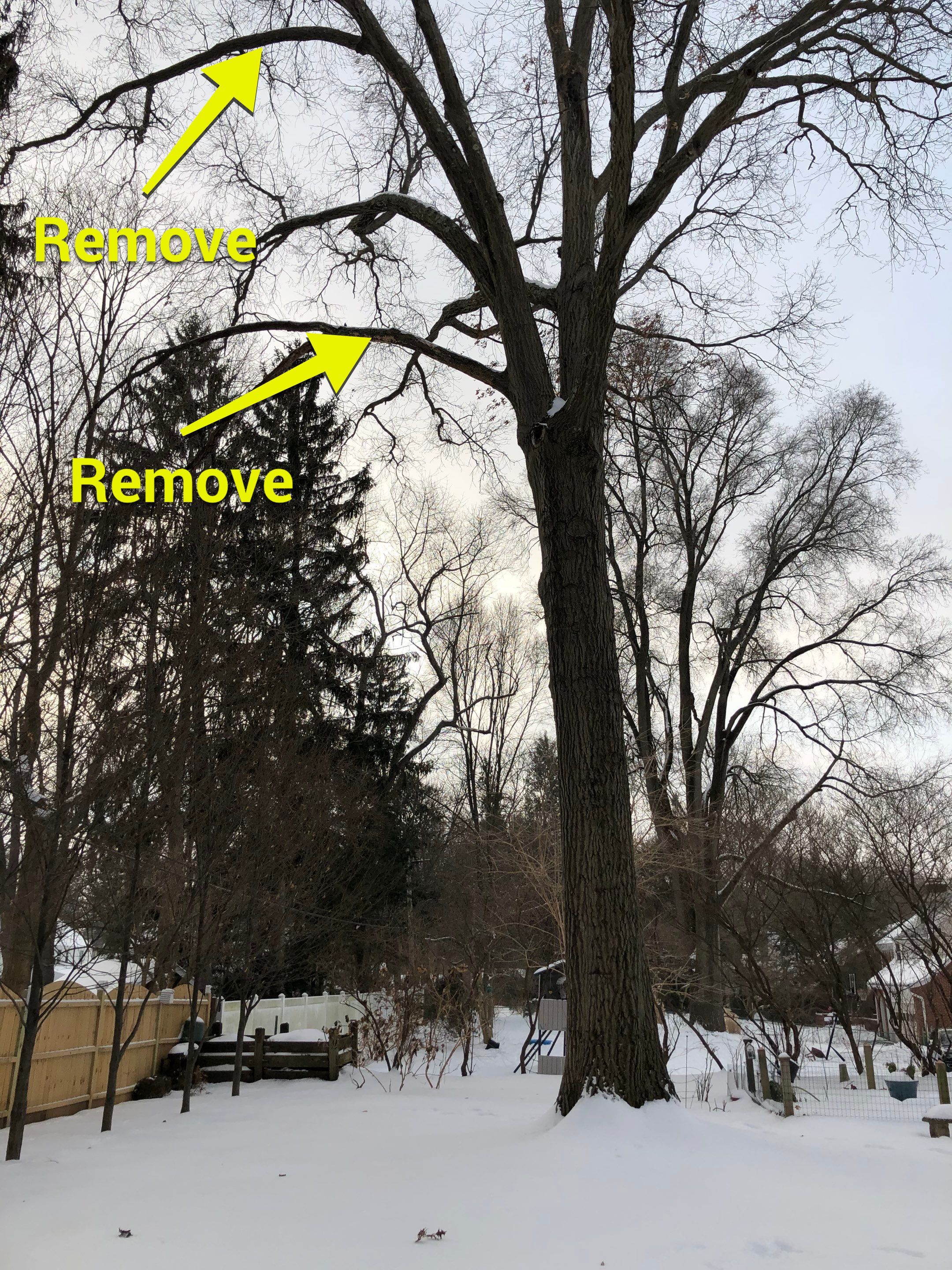 Firewood Delivery  using Seasoned Firewood by Mike Jones & Sons Tree Service LLC 