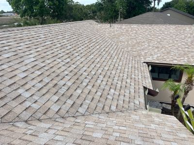 Shingle -> Shingle