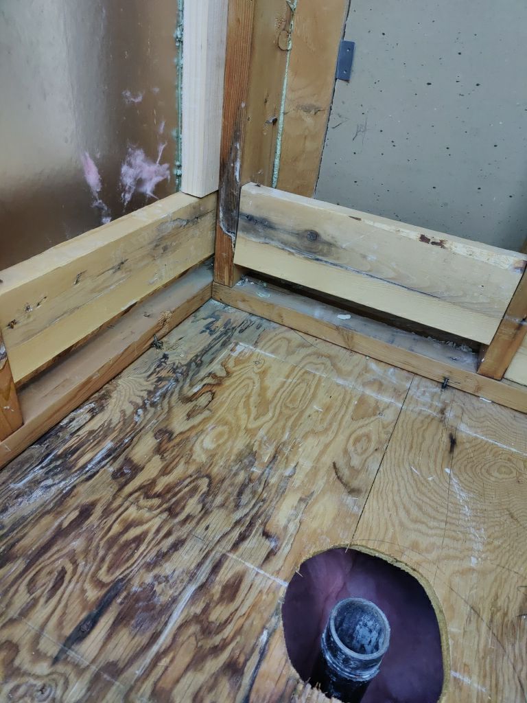 Mold Remediation  by Accountable Home Services