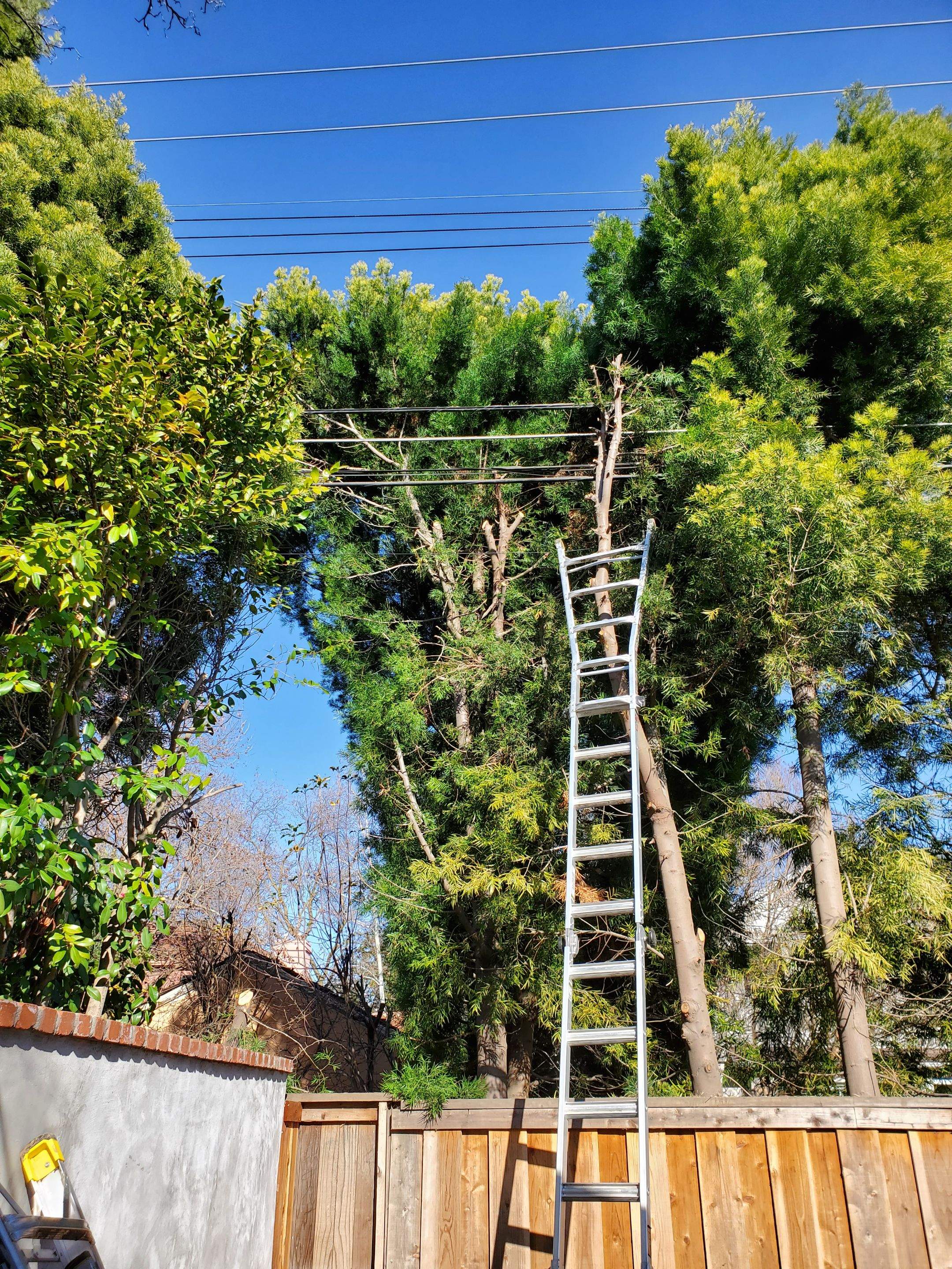 Pool Clearance issue by Peach Electric Inc