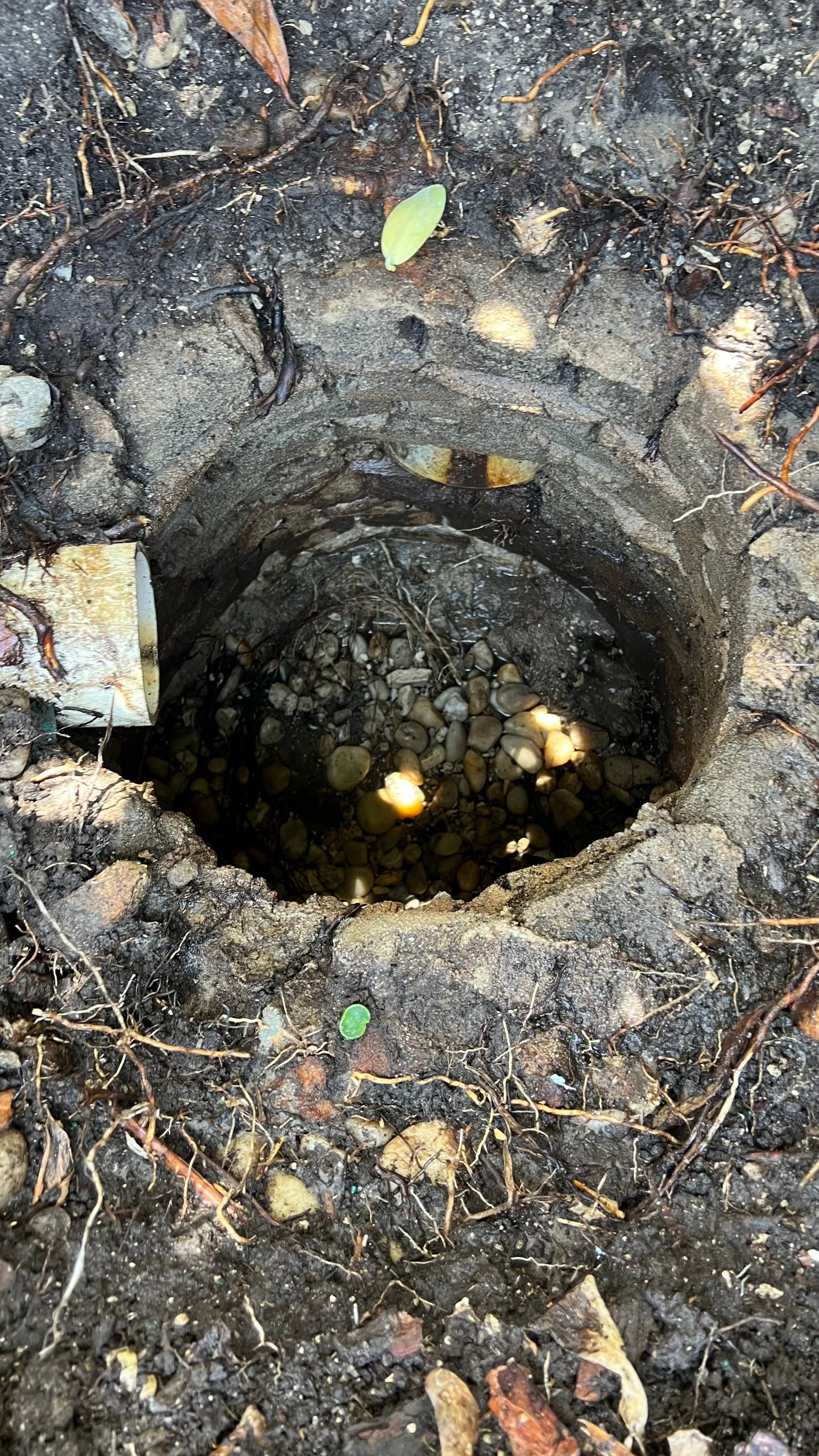 Gulfshore Condo Stormwater System Maintenance by Don Mar, Inc. Storm Water Solutions