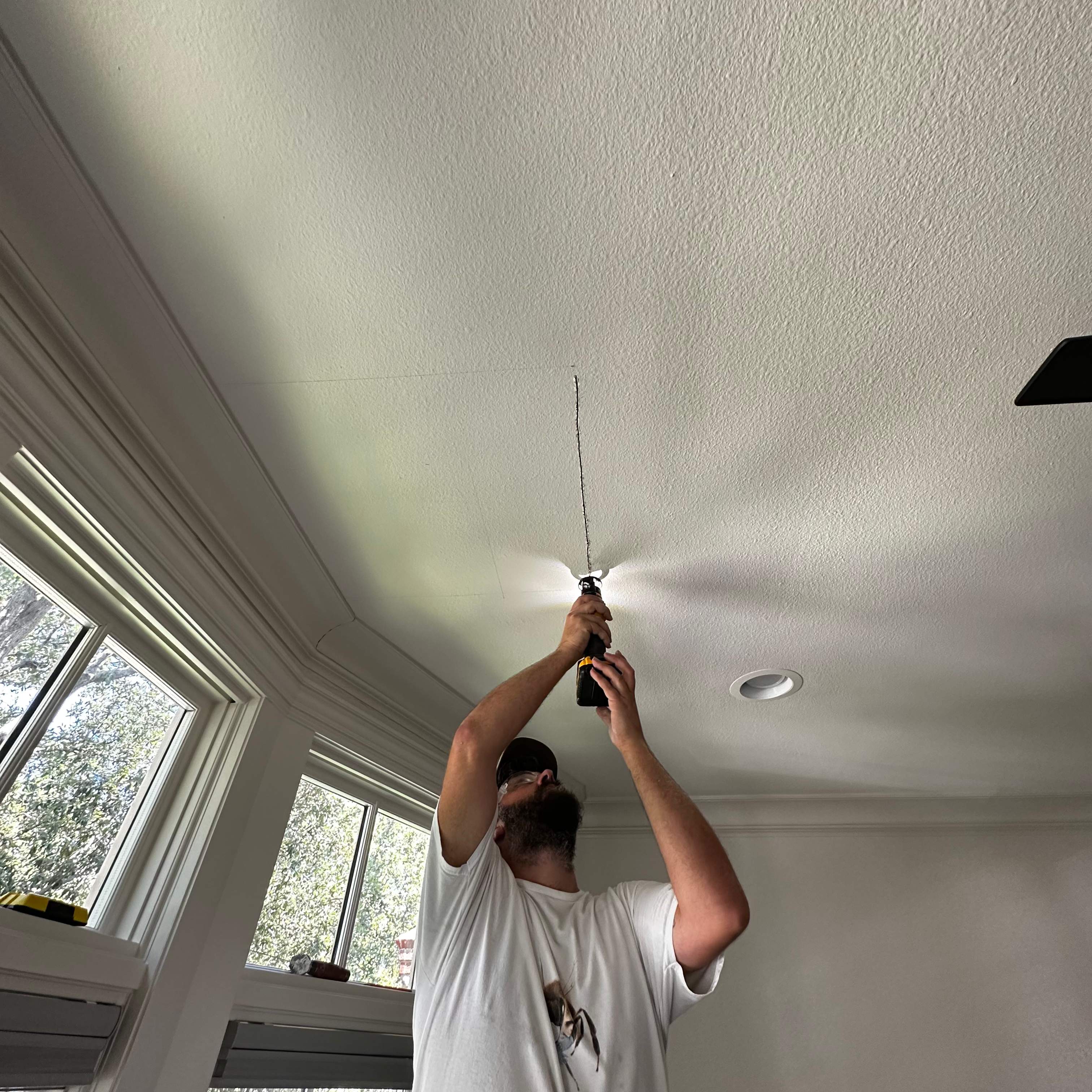 Ceiling Cutout by Rockwall Honey Bee Company