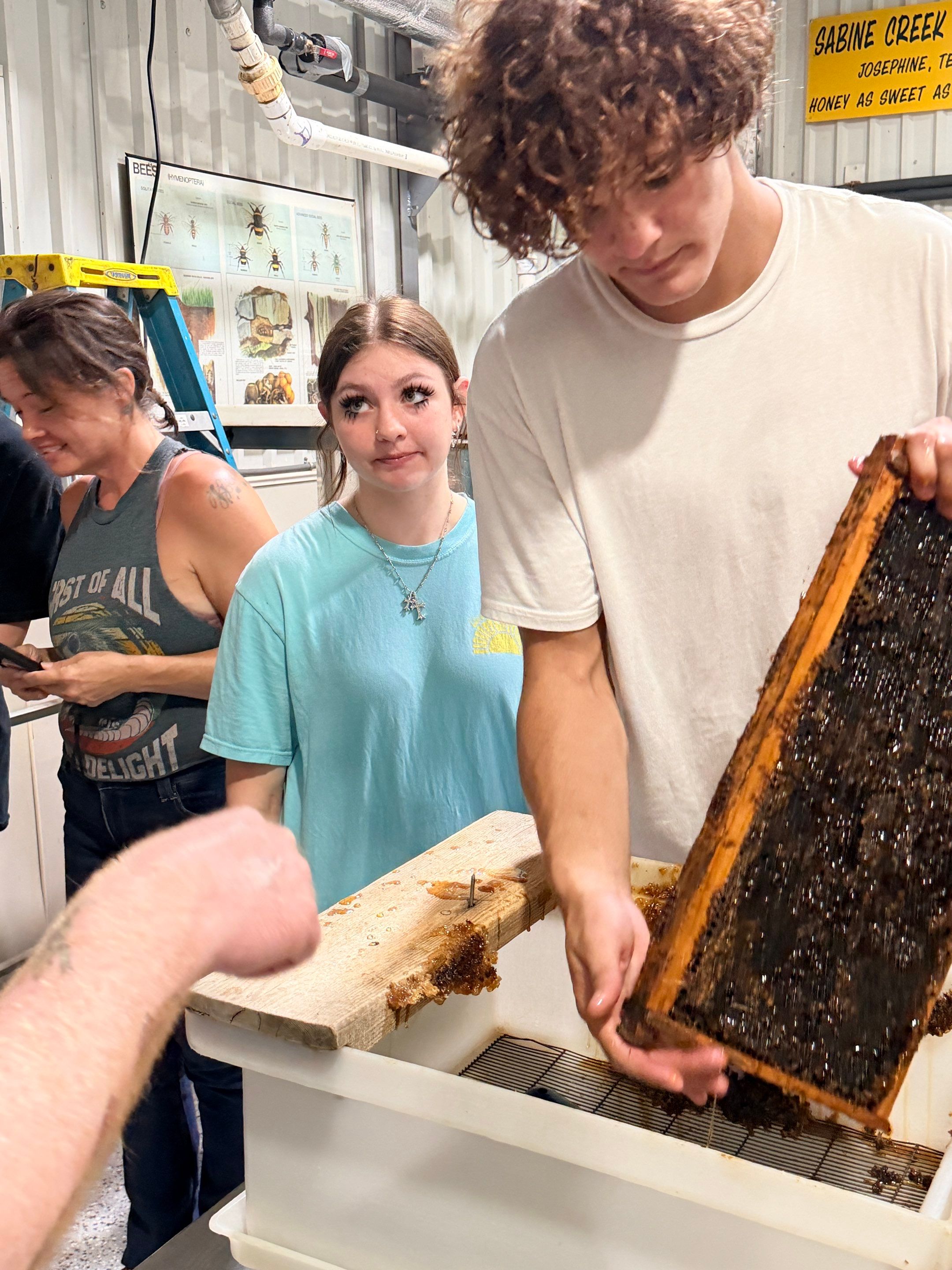Project in Royse City, TX by Rockwall Honey Bee Company