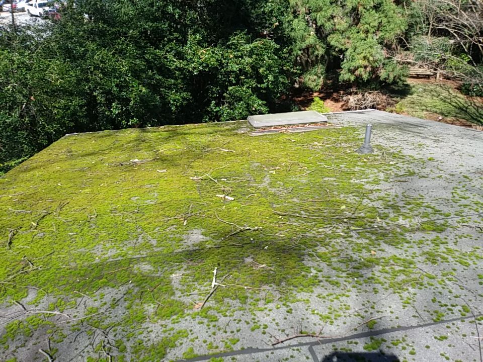 Resolving Leaks and Moss Growth by Georgia Roof Advisors