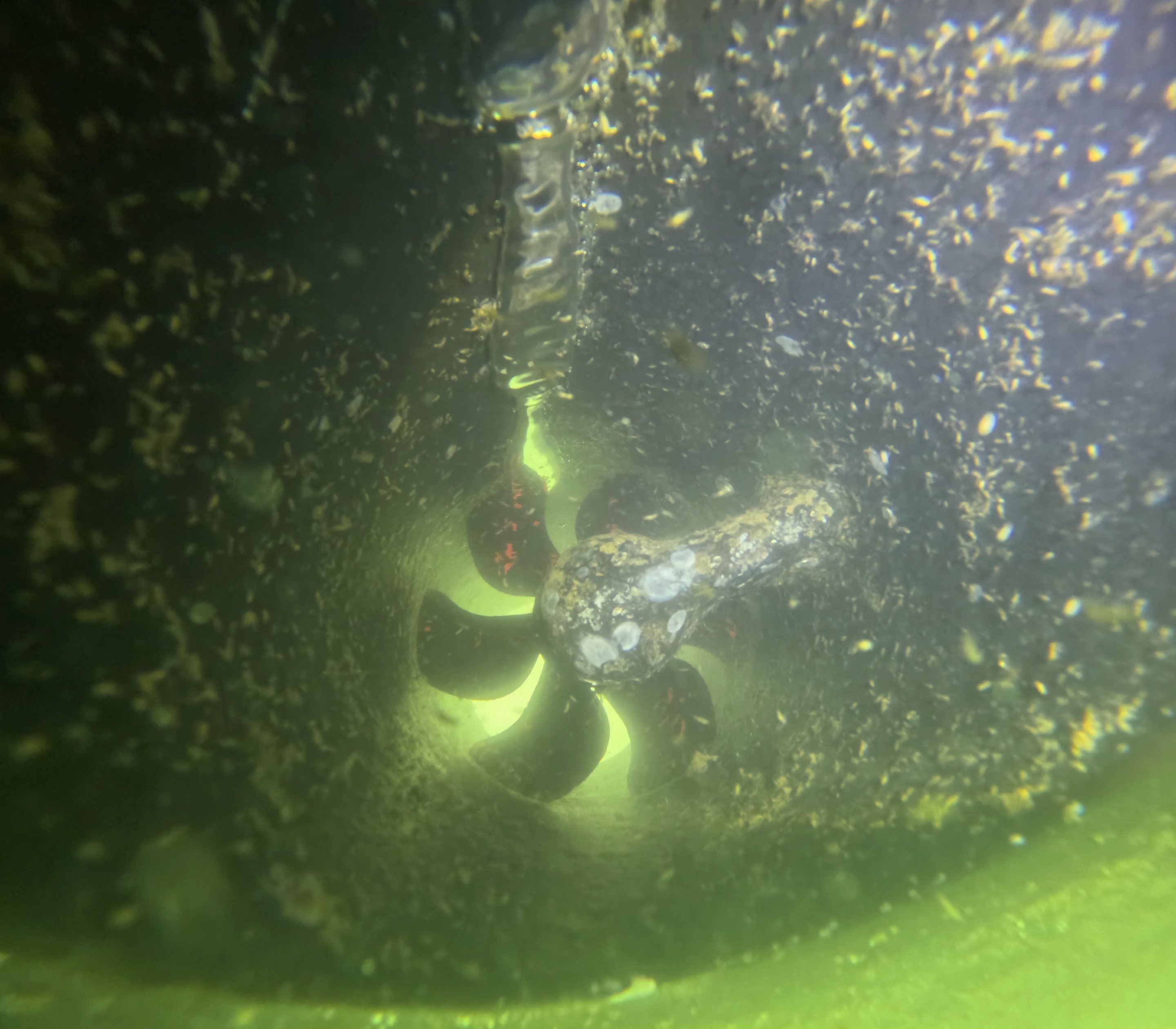 Project in Marco island, FL by Florida Hull Cleaning 