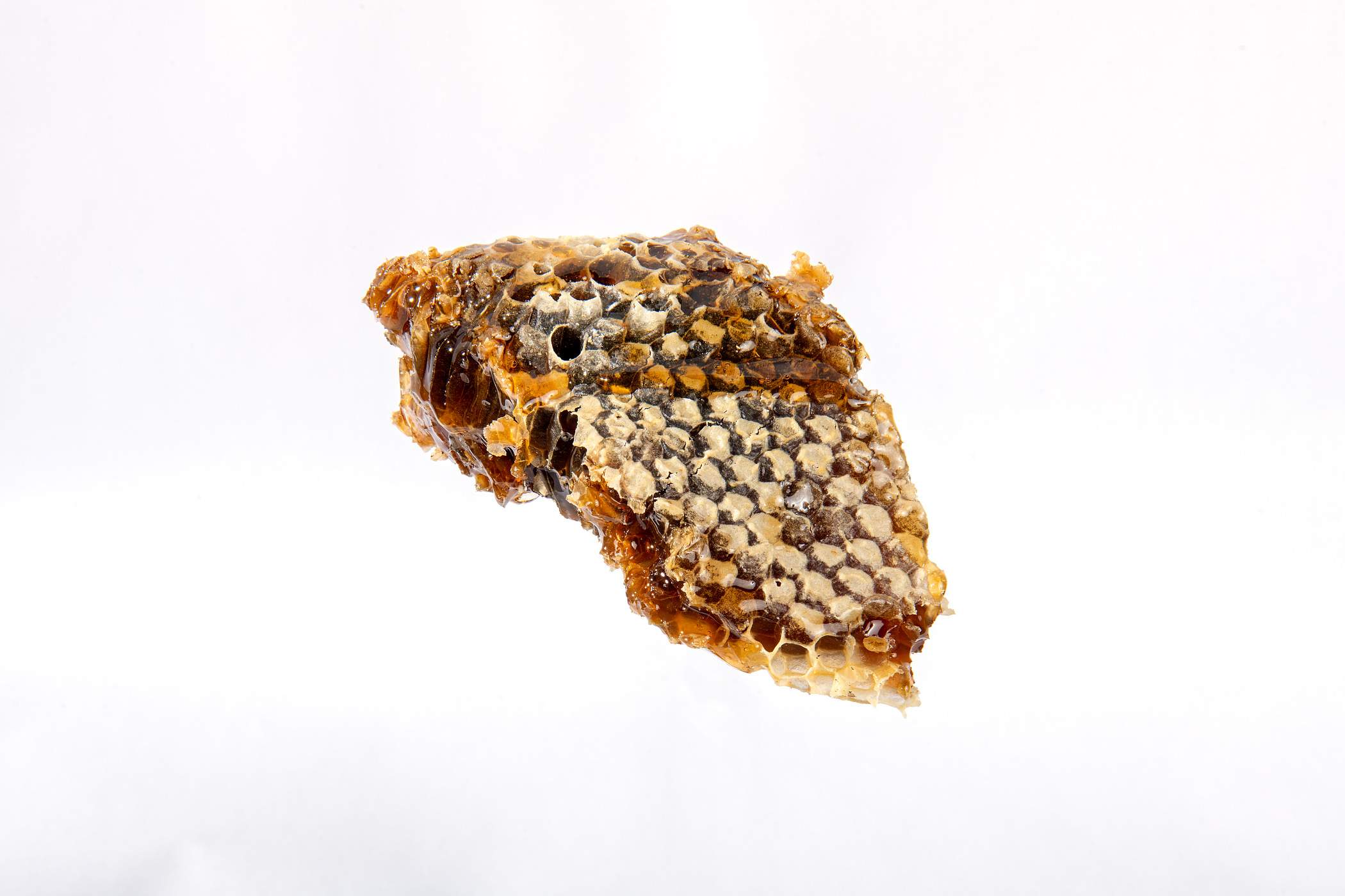 Brick Column by Rockwall Honey Bee Company