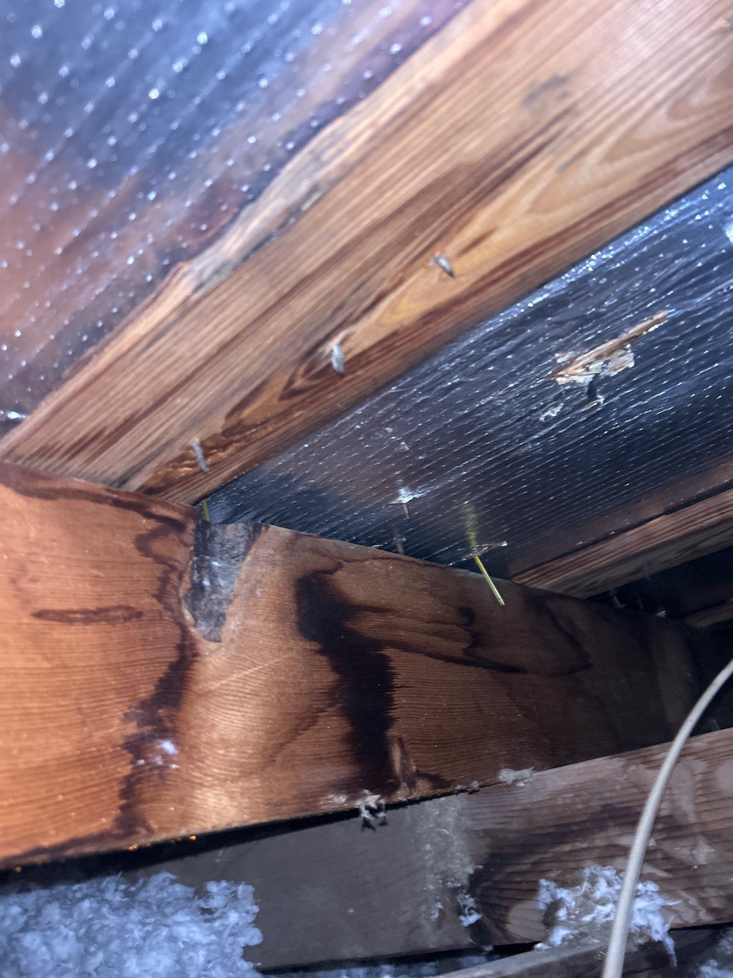 Roof Repair Houston by Roof Repair Services LLC