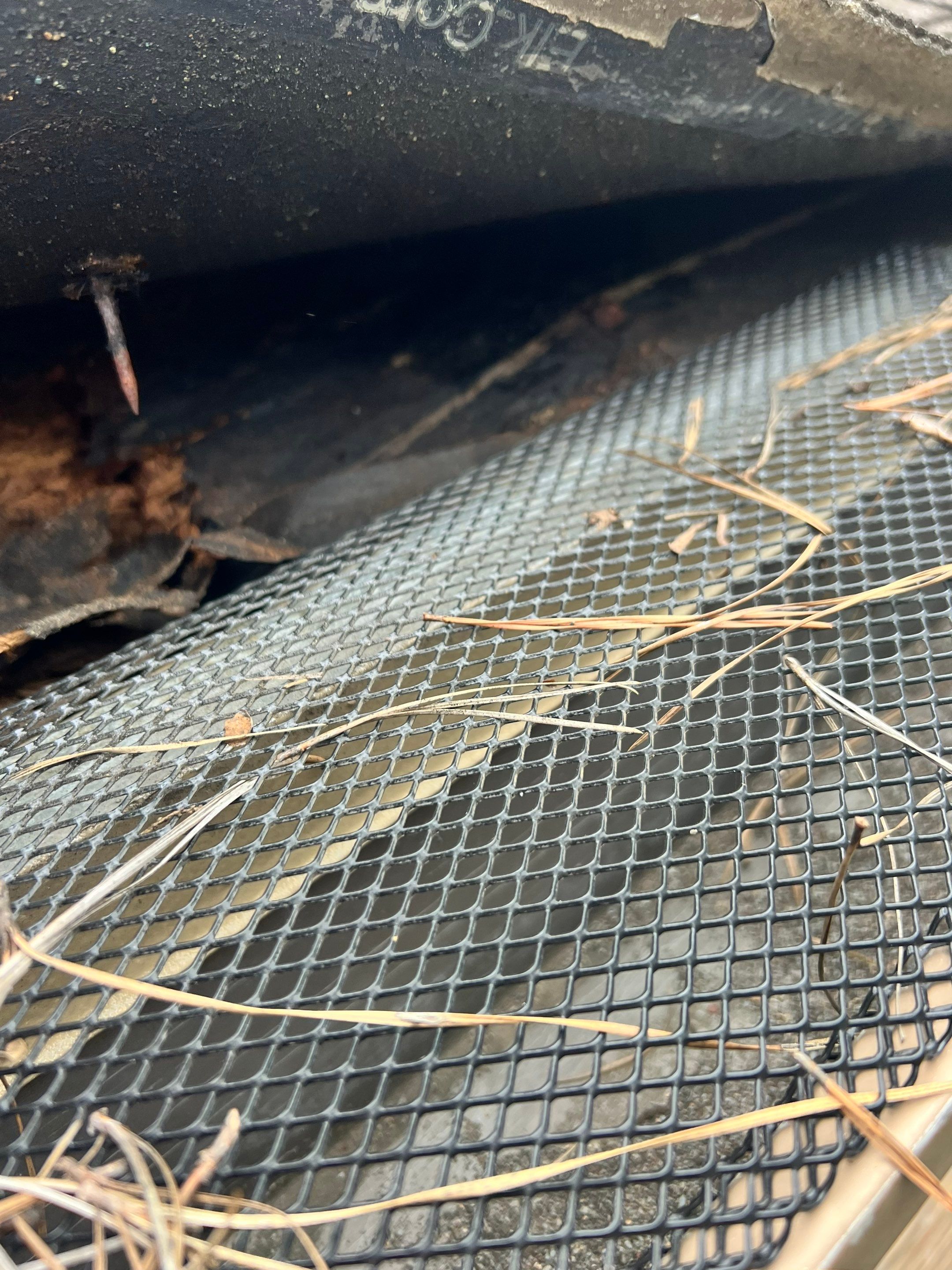 Roof Repair Magnolia by Roof Repair Services LLC