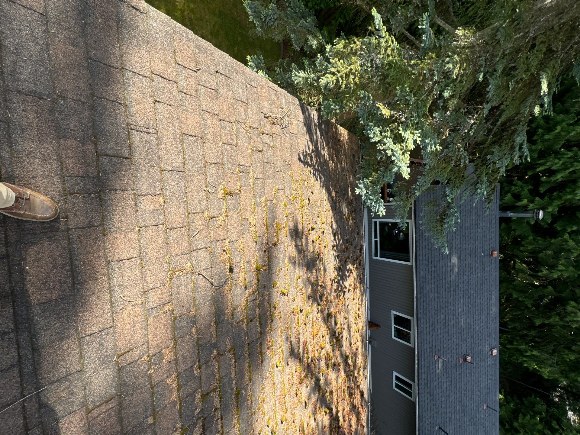 Project in Edmonds by Peaks and Valleys Construction