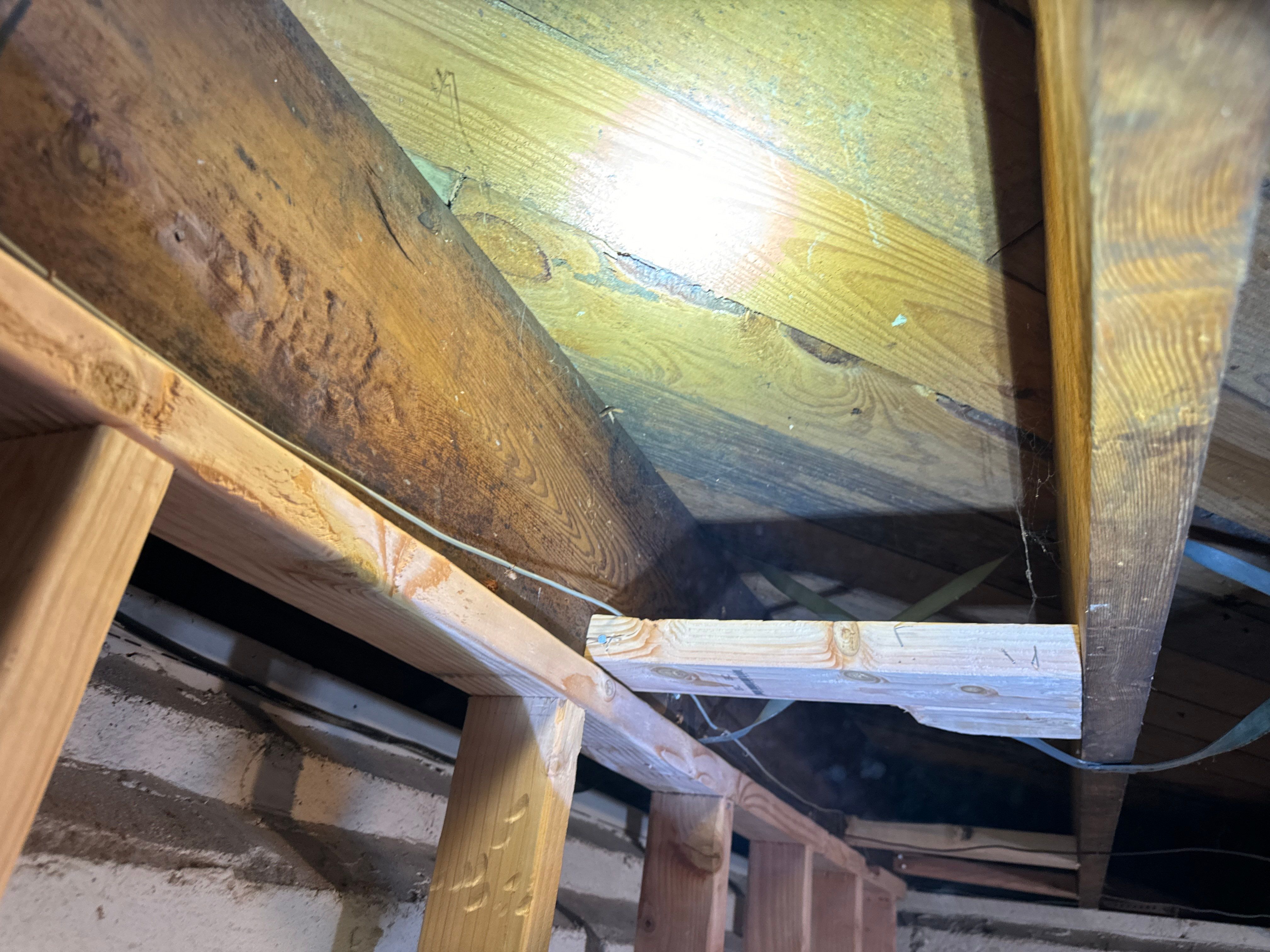 Interior French Drain & Mold Remediation Little Falls NJ by Pure Service Pro, LLC 