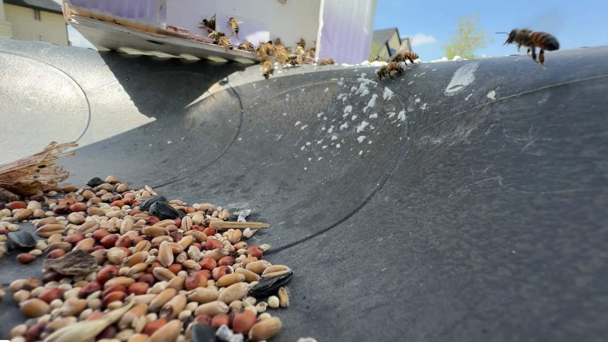 Fountain Swarm by Rockwall Honey Bee Company