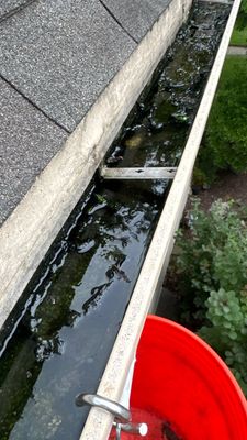 Latest photograph of the Turtle Shell installation in Naperville, IL 60540