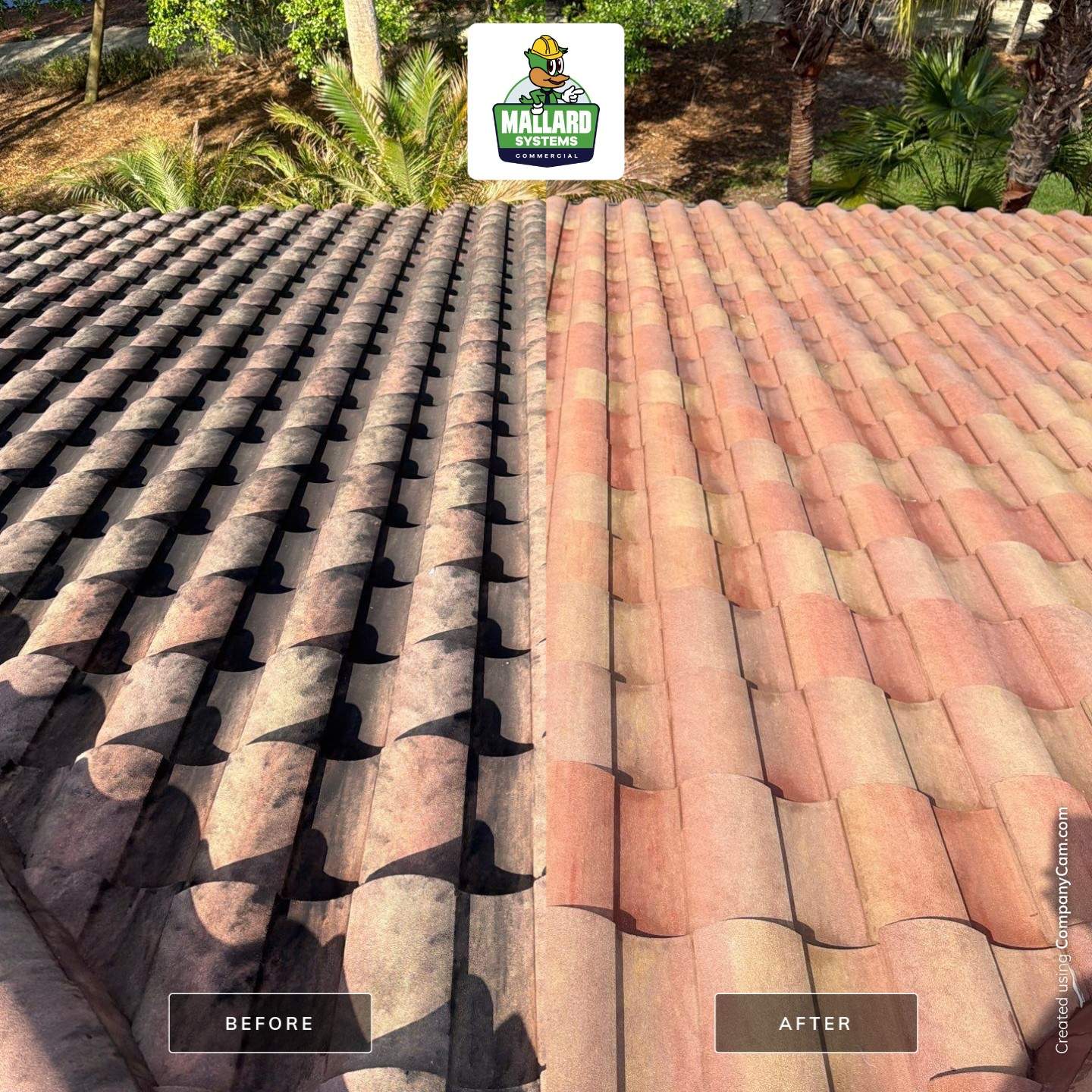 Barrel Tile Roof Cleaning by Mallard Systems