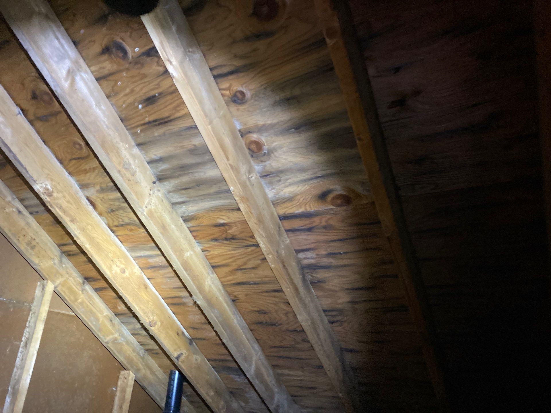 Roofing | Northborough by Mighty Dog Roofing of Greater Middlesex County