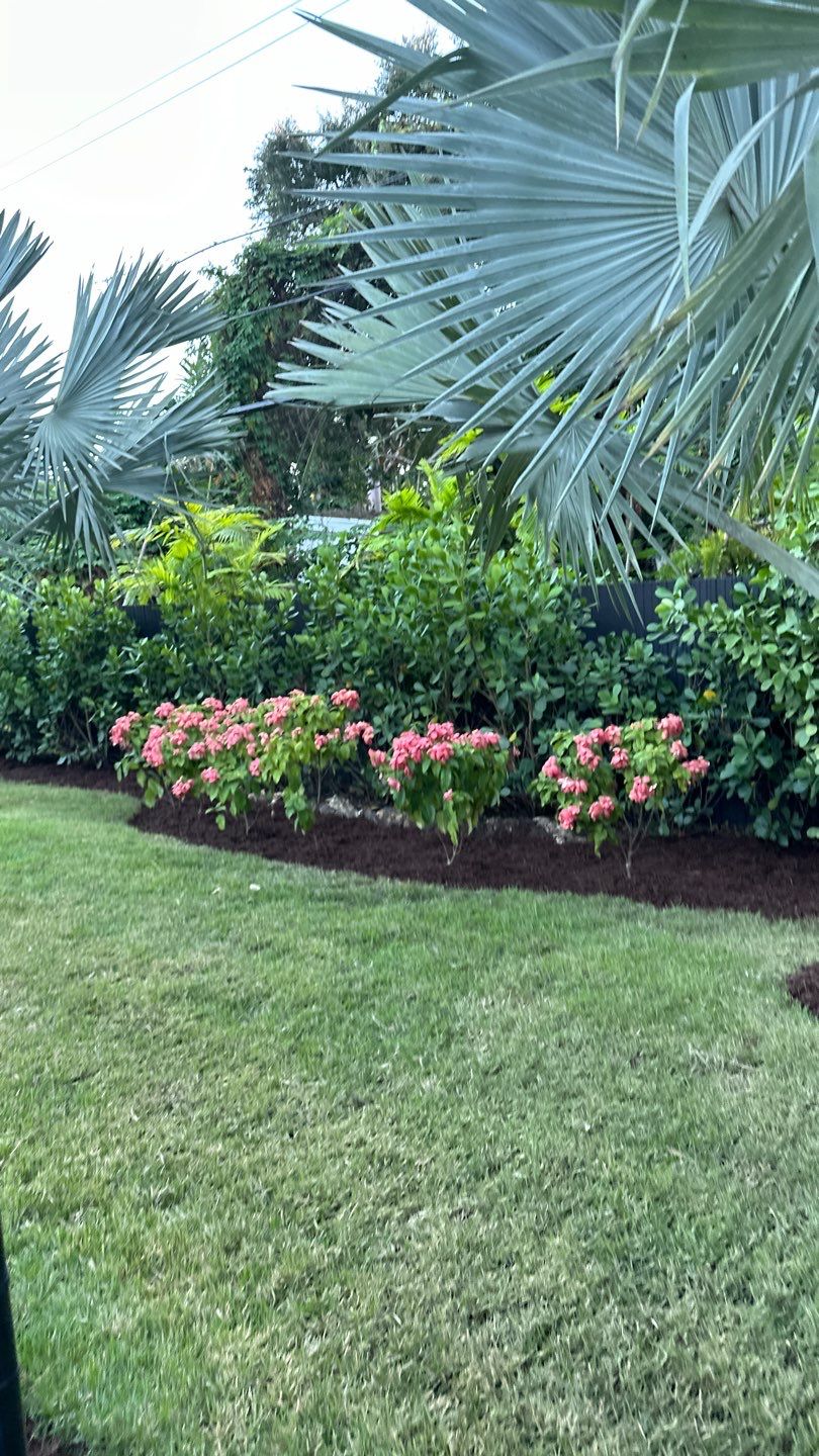 Pinecrest Landscape Upgrade from Minimum Requirements by Nature's Dream Landscape and Tree Service