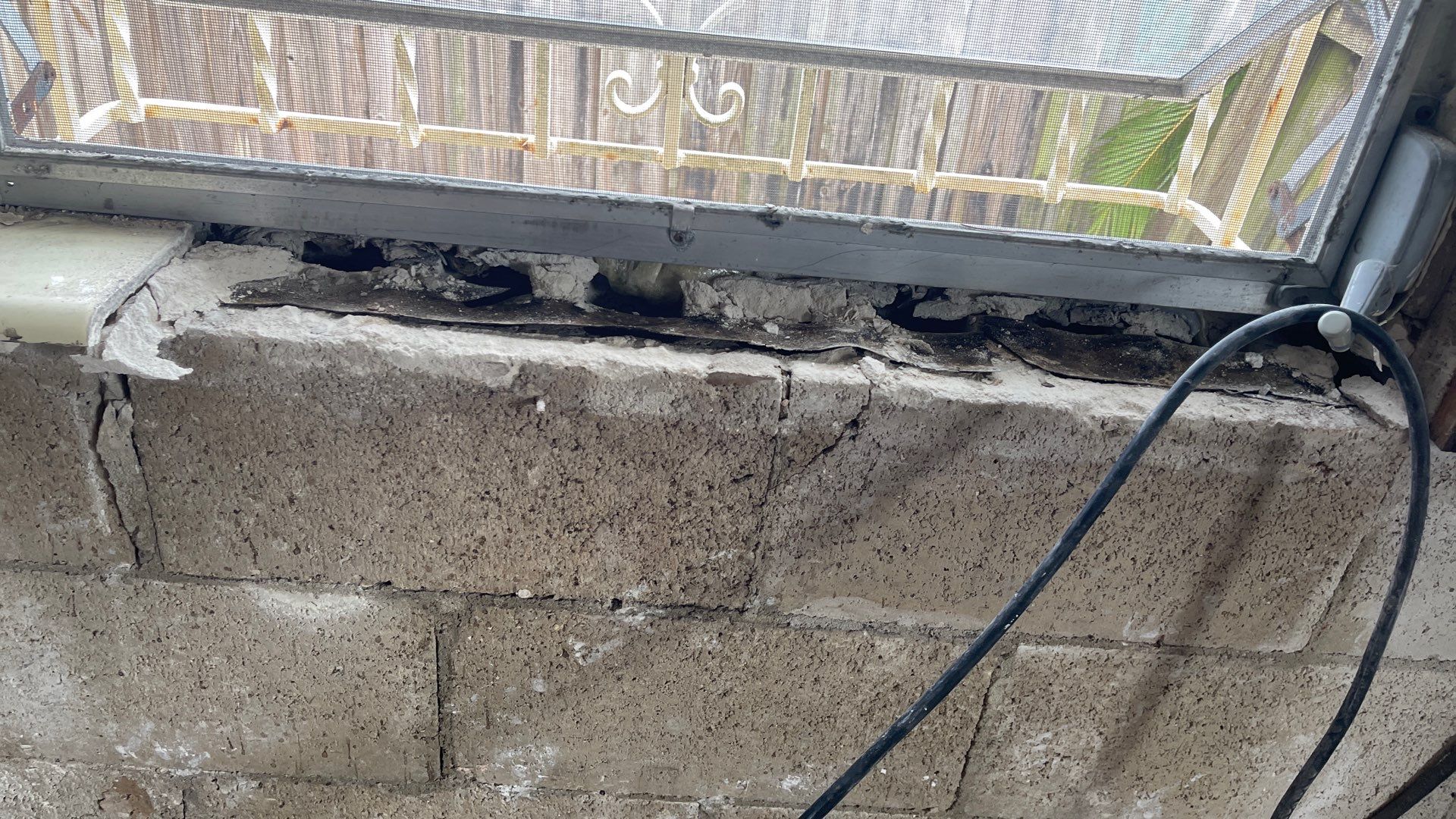 Mold Remediation  by THE RAPID TEAM