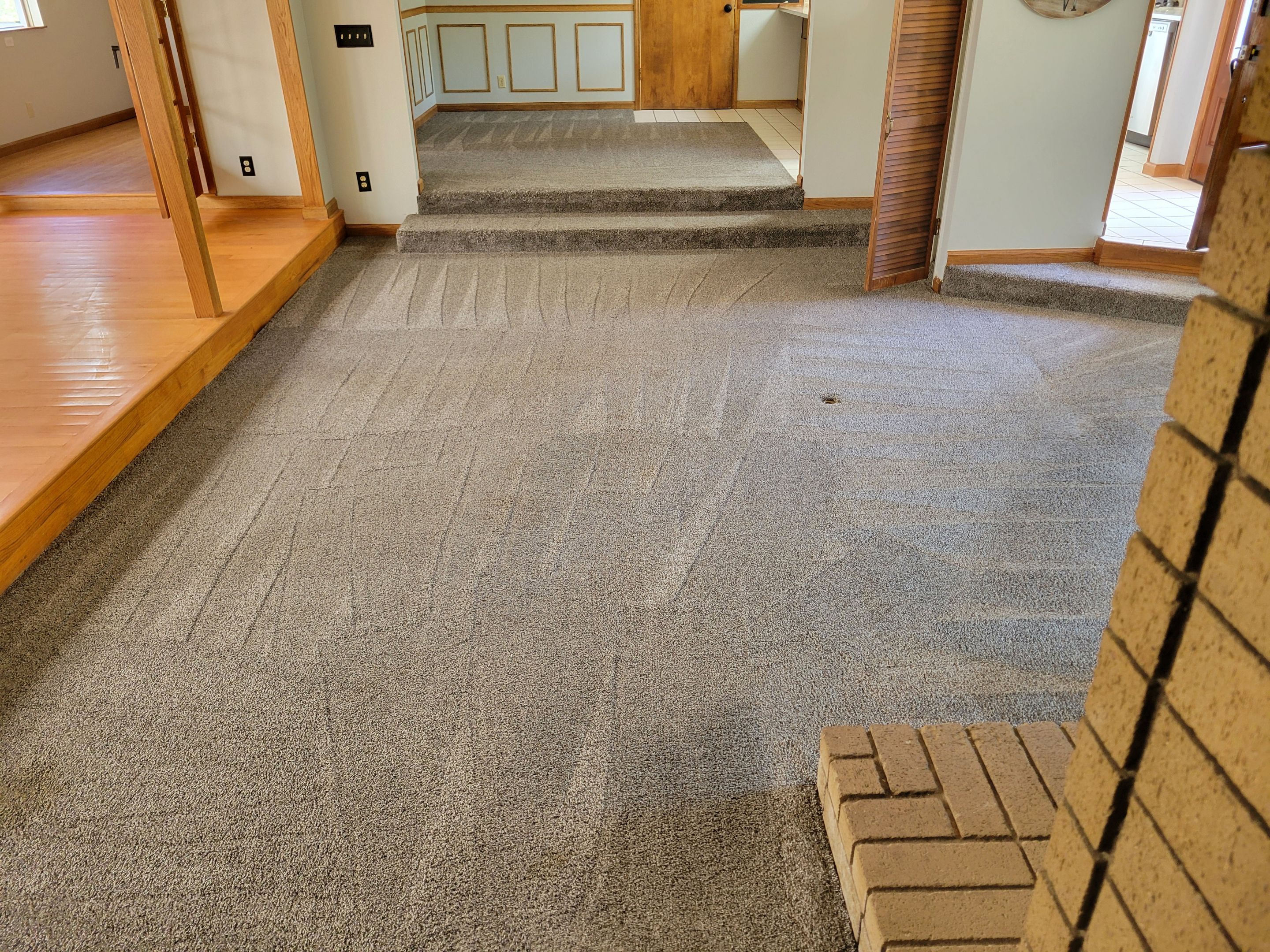 Carpet Cleaning for House Listing by Ardent Carpet Restore LLC