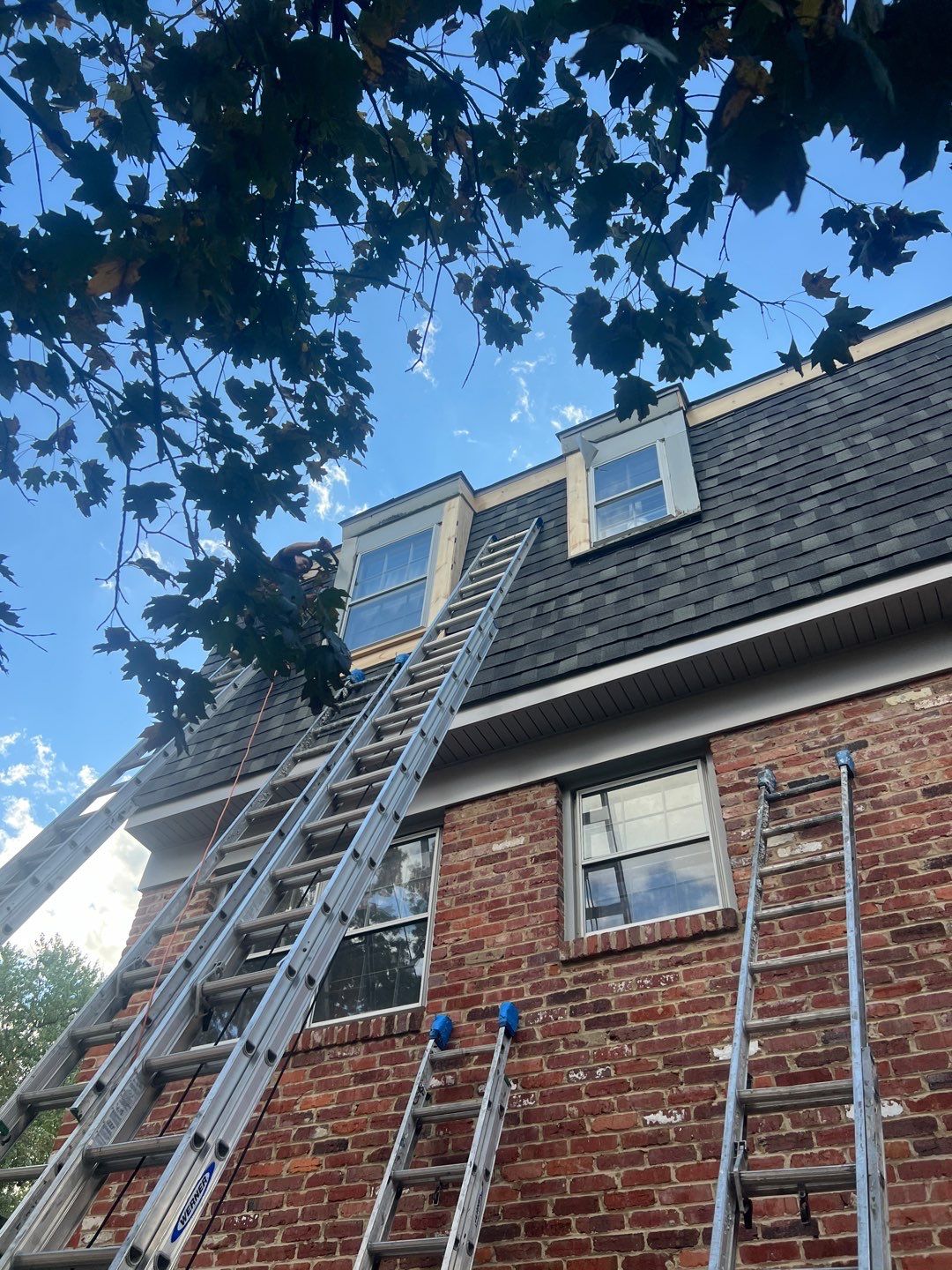 Arlington: Residential Roof Replacement with CertainTeed Landmark Pro in Max Def Georgetown Gray by RM Banning, Inc.