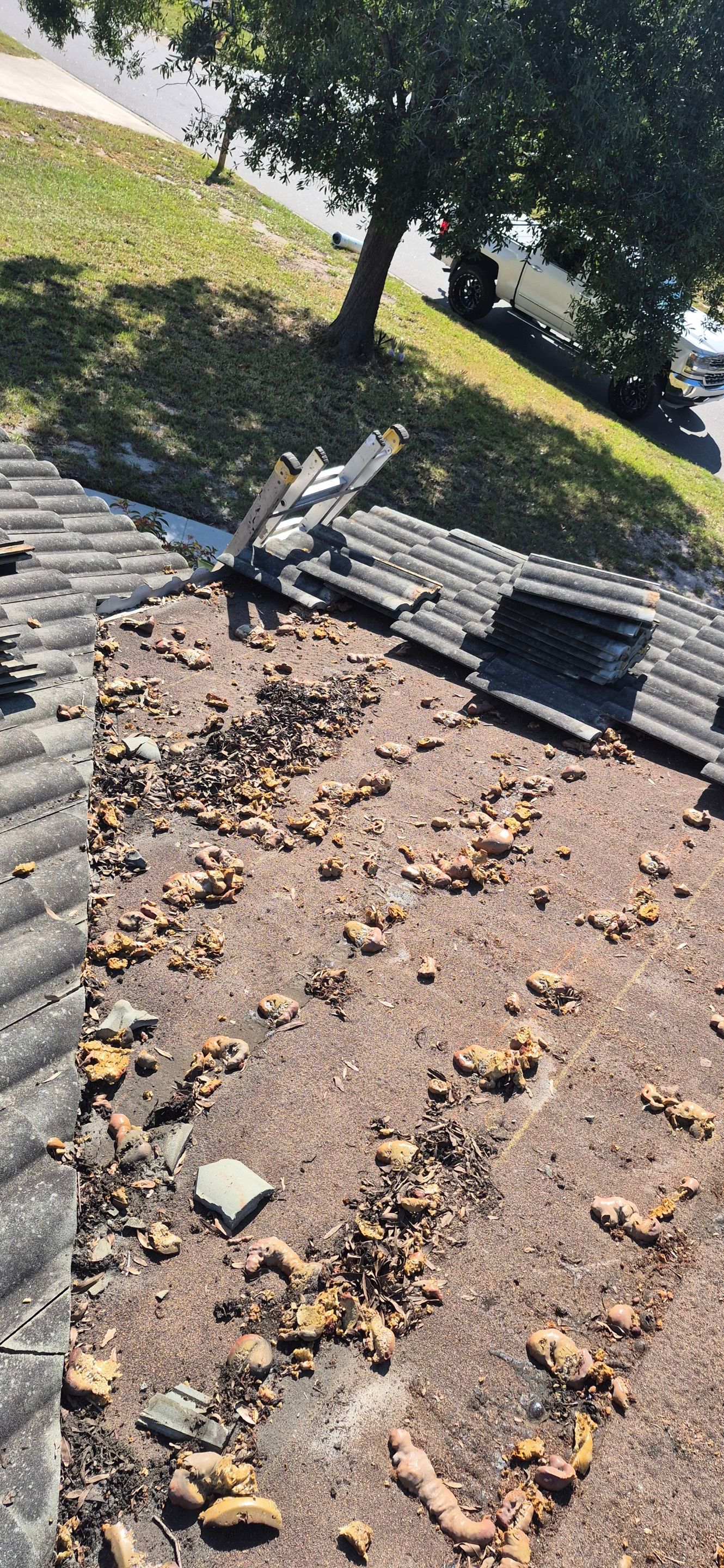 Project in Seminole 33772 by Mitchell Roofing Company LLC