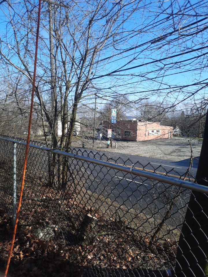 Tree Removal using Tree Removal by Mike Jones & Sons Tree Service LLC 