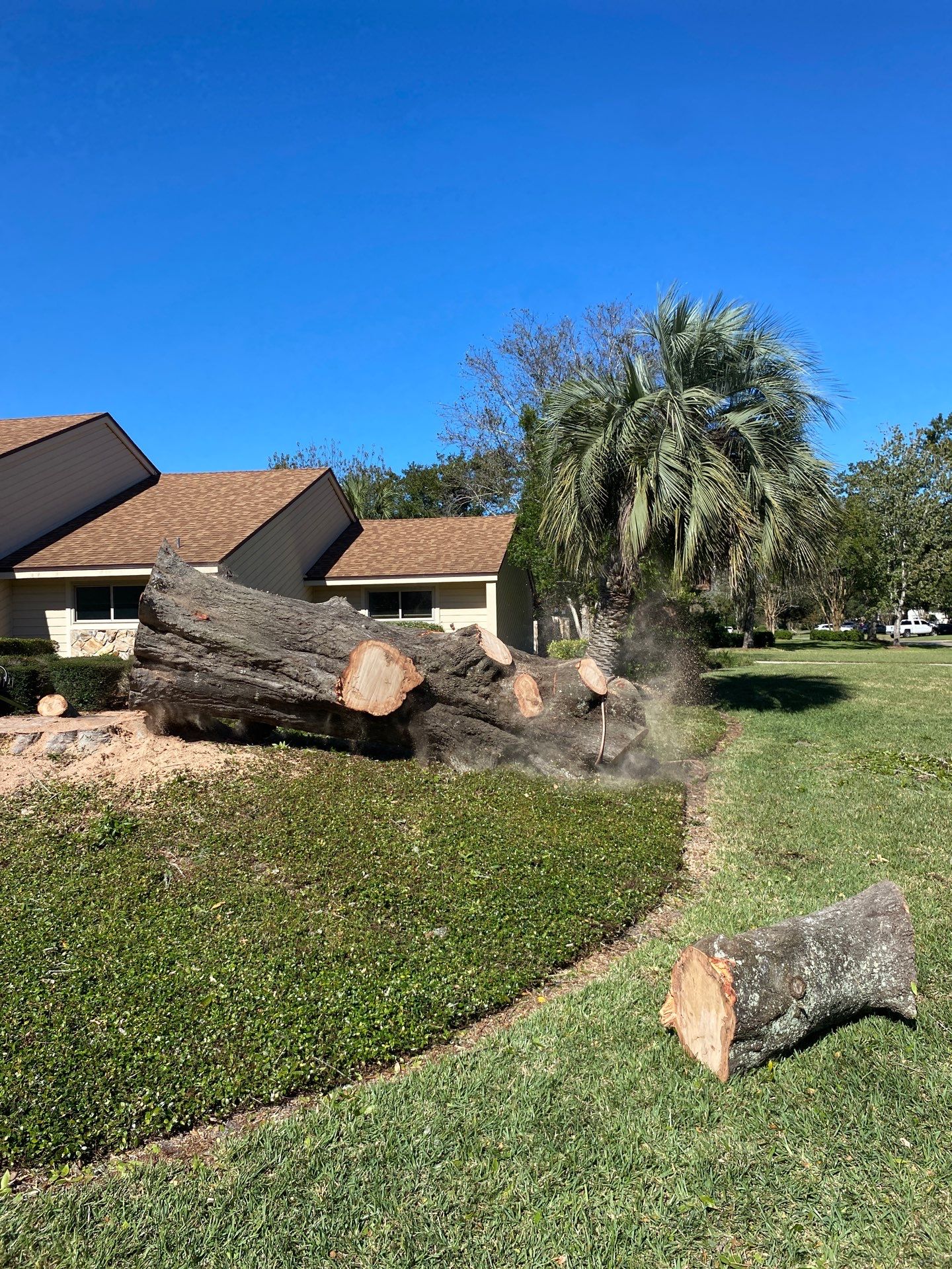 Deerwood Resident | Tree Removal & Stump Grinding by ProGreen Services