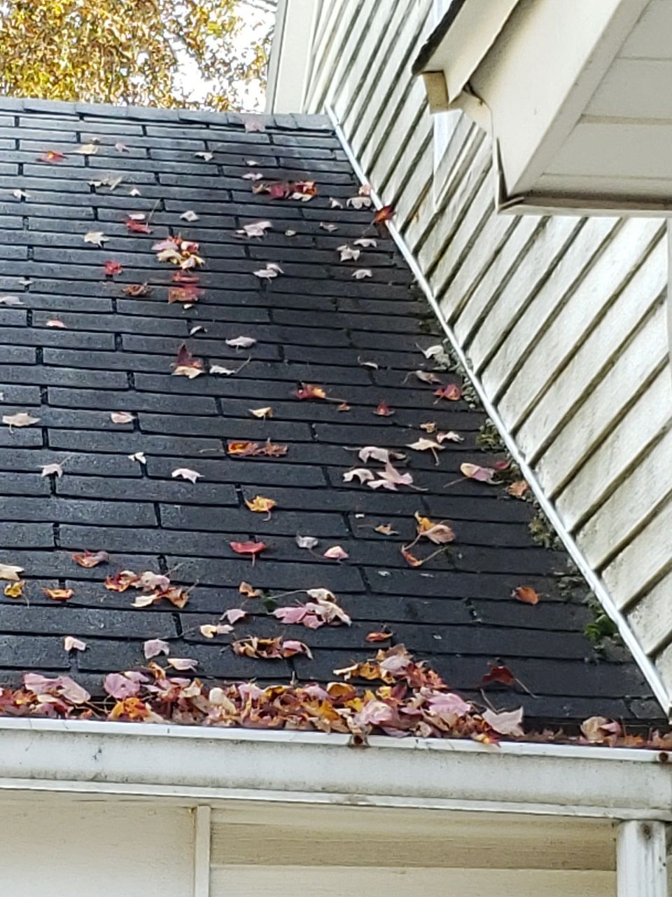 ATLAS PINNACLE SCOTCHGARD COLOR: PEWTER DRIP EDGE: BLACK by Eagle Eye Roofing