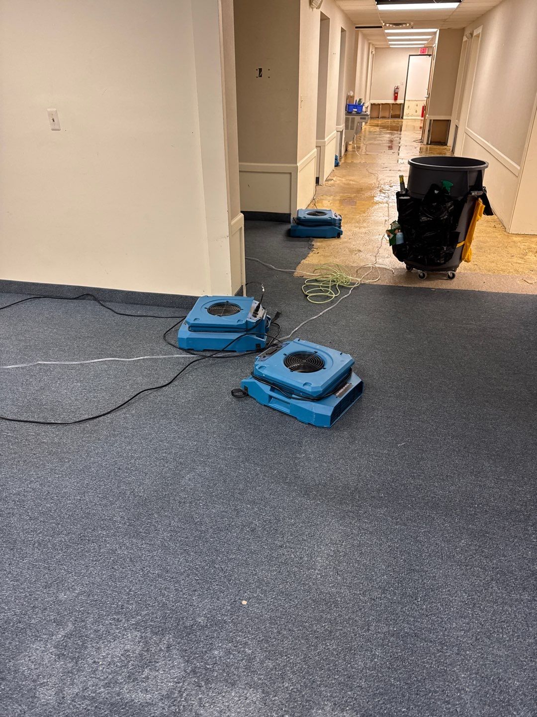 Project in Warren by EzDry Water Mitigation & Property Restoration