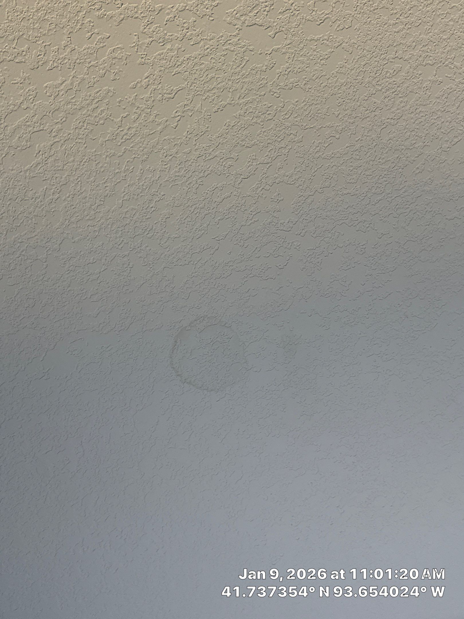 Project in Ankeny, IA by Midwest Paint LLC
