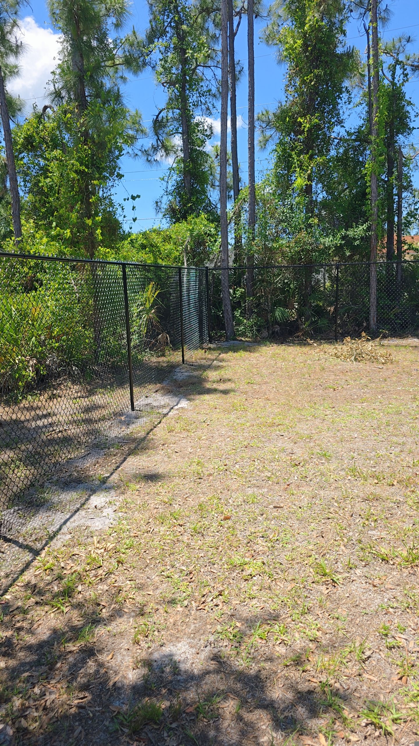 Black Chain Link Fence in North Port by True Fence LLC