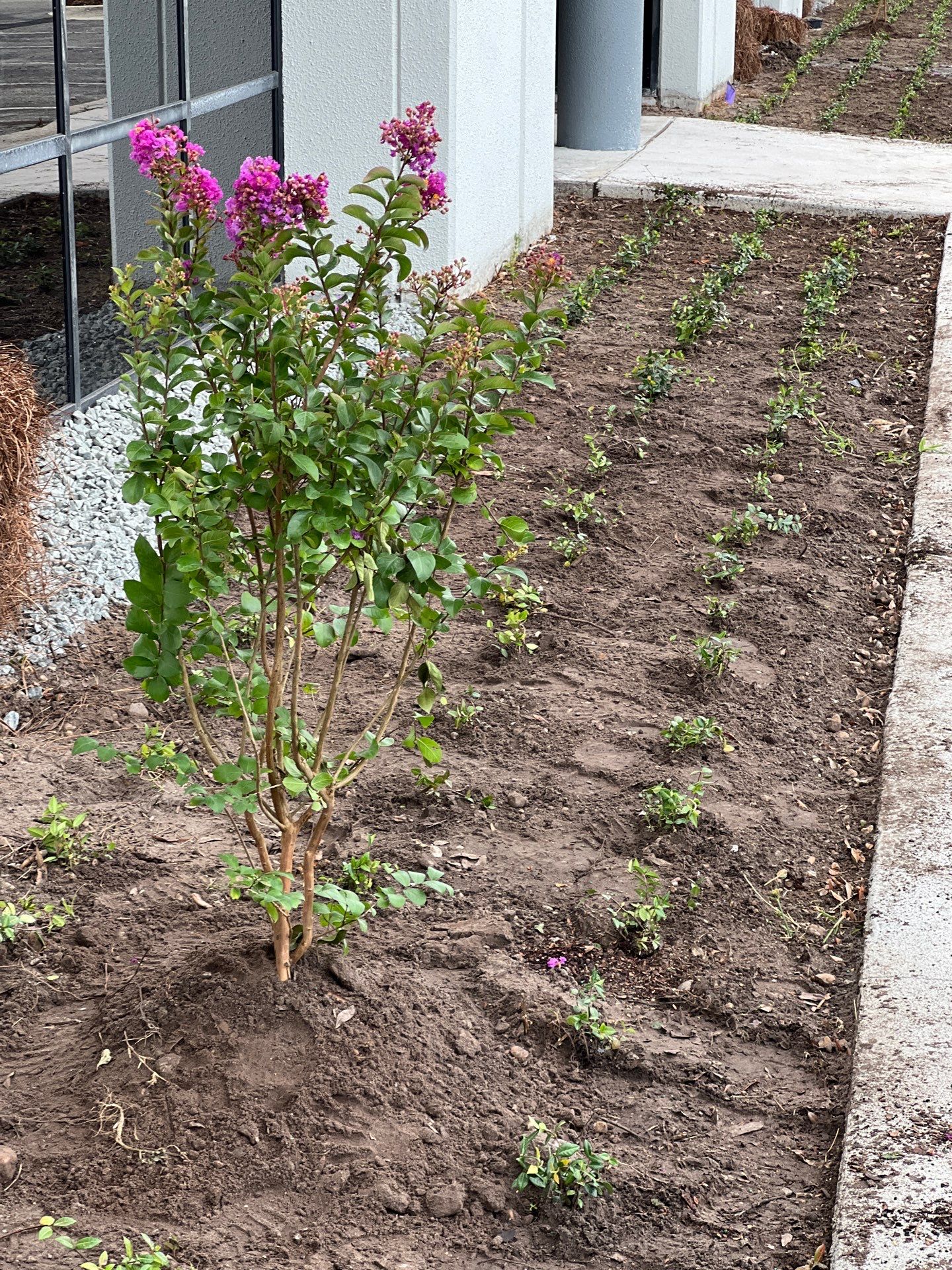 Large Landscape Project | Center Point by ProGreen Services
