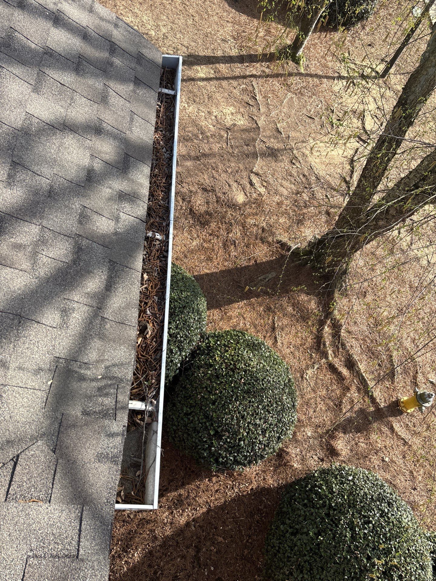 HOA gutter cleaning before photo
