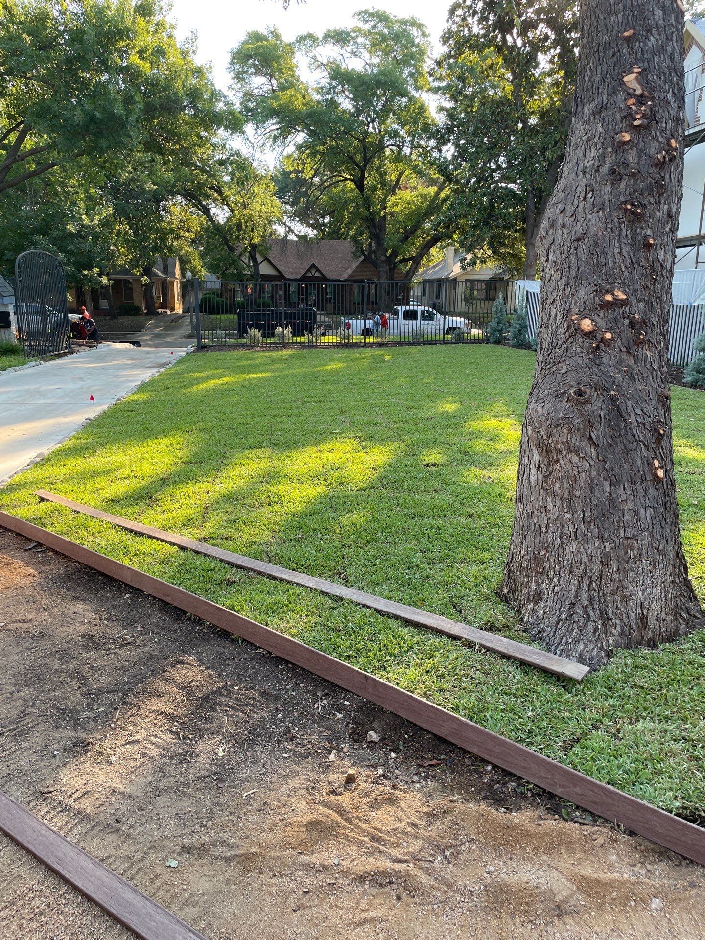 Sod by Peterson’s