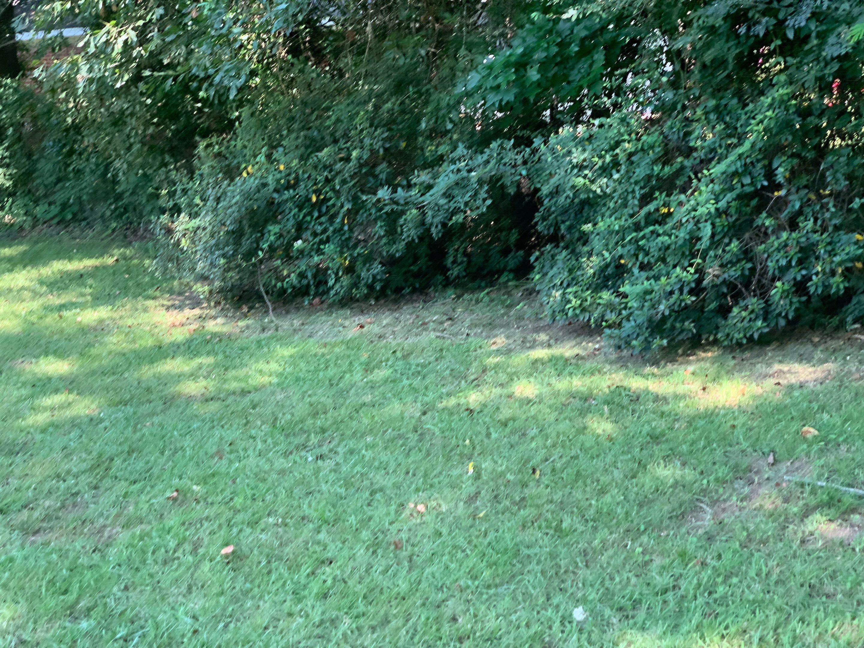 Yard Makeover by College Bros Outdoor services