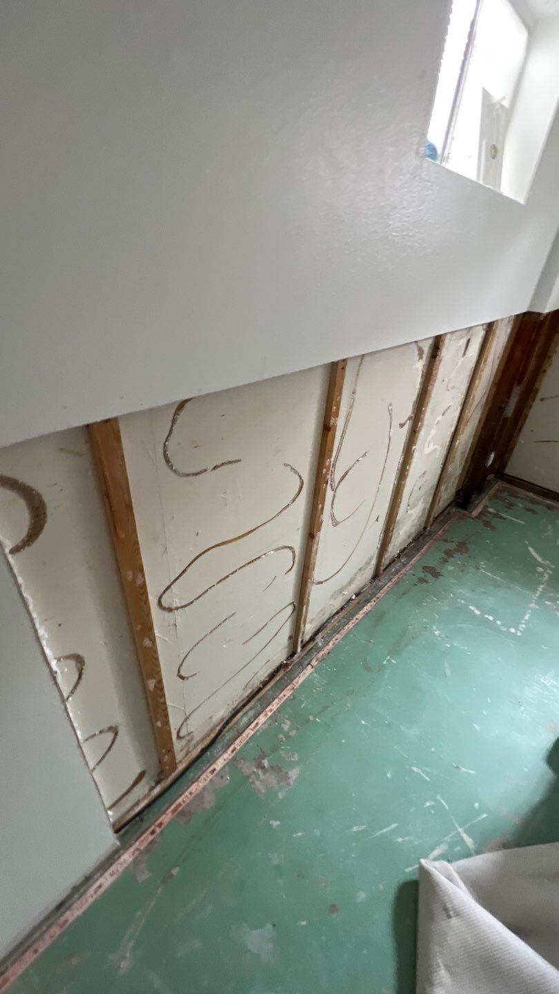 Mold Remediation by Accountable Home Services