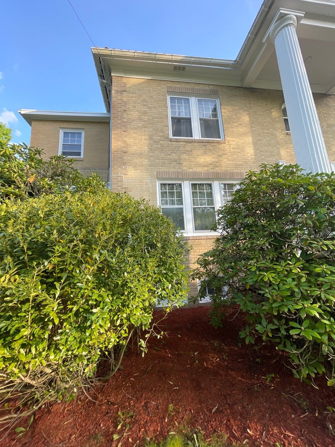 House, Pool & Rear Patio, Garage & Fence by SJ Exterior