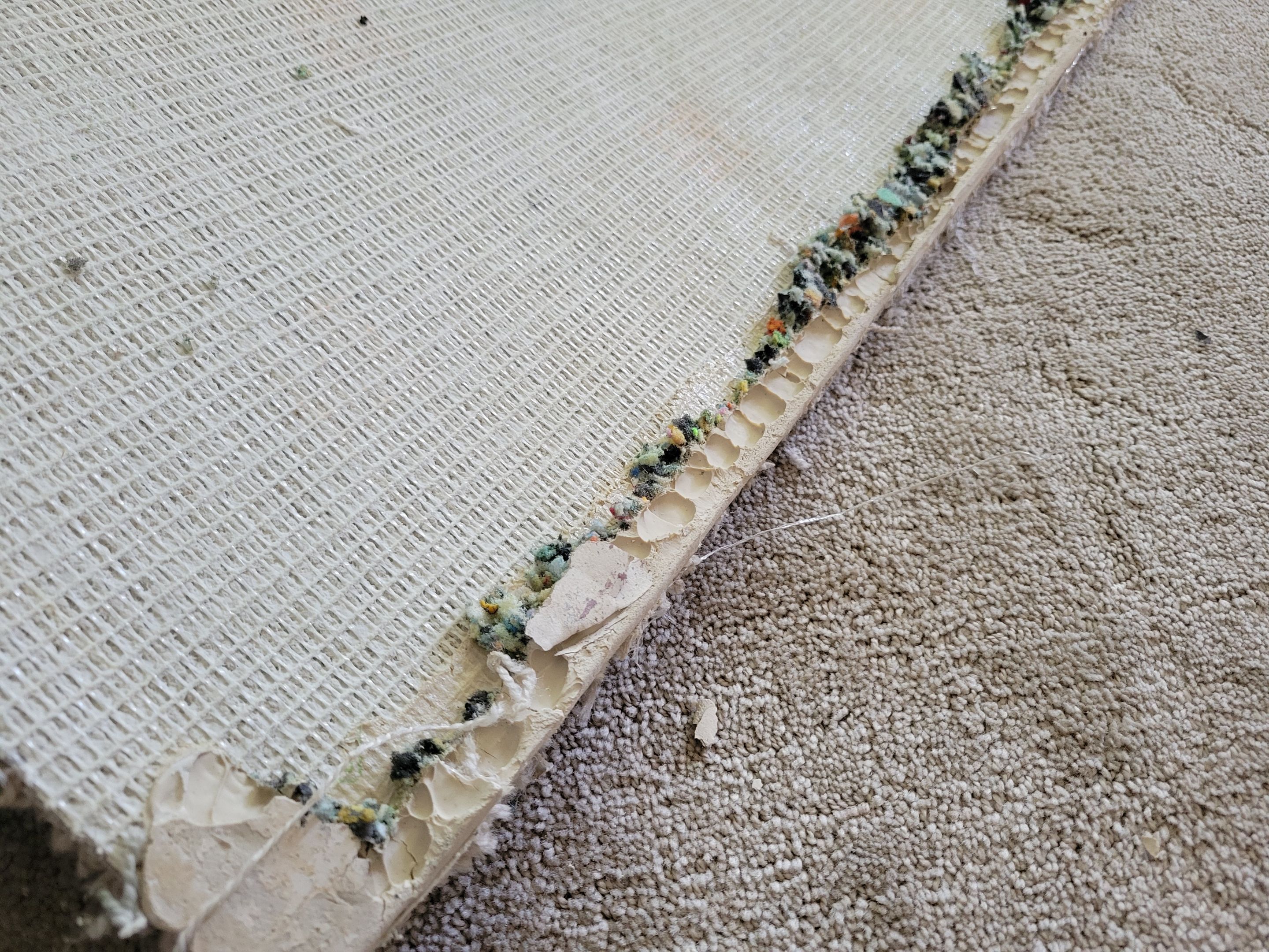 El Dorado Hills Carpet Re-stretch & Cleaning by Ardent Carpet Restore LLC