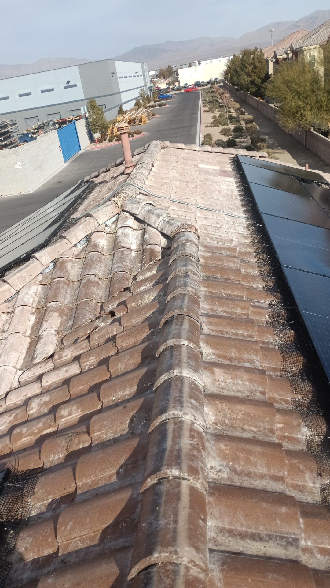 Excessive pigeon problem  by Solar Honest Cleaning 