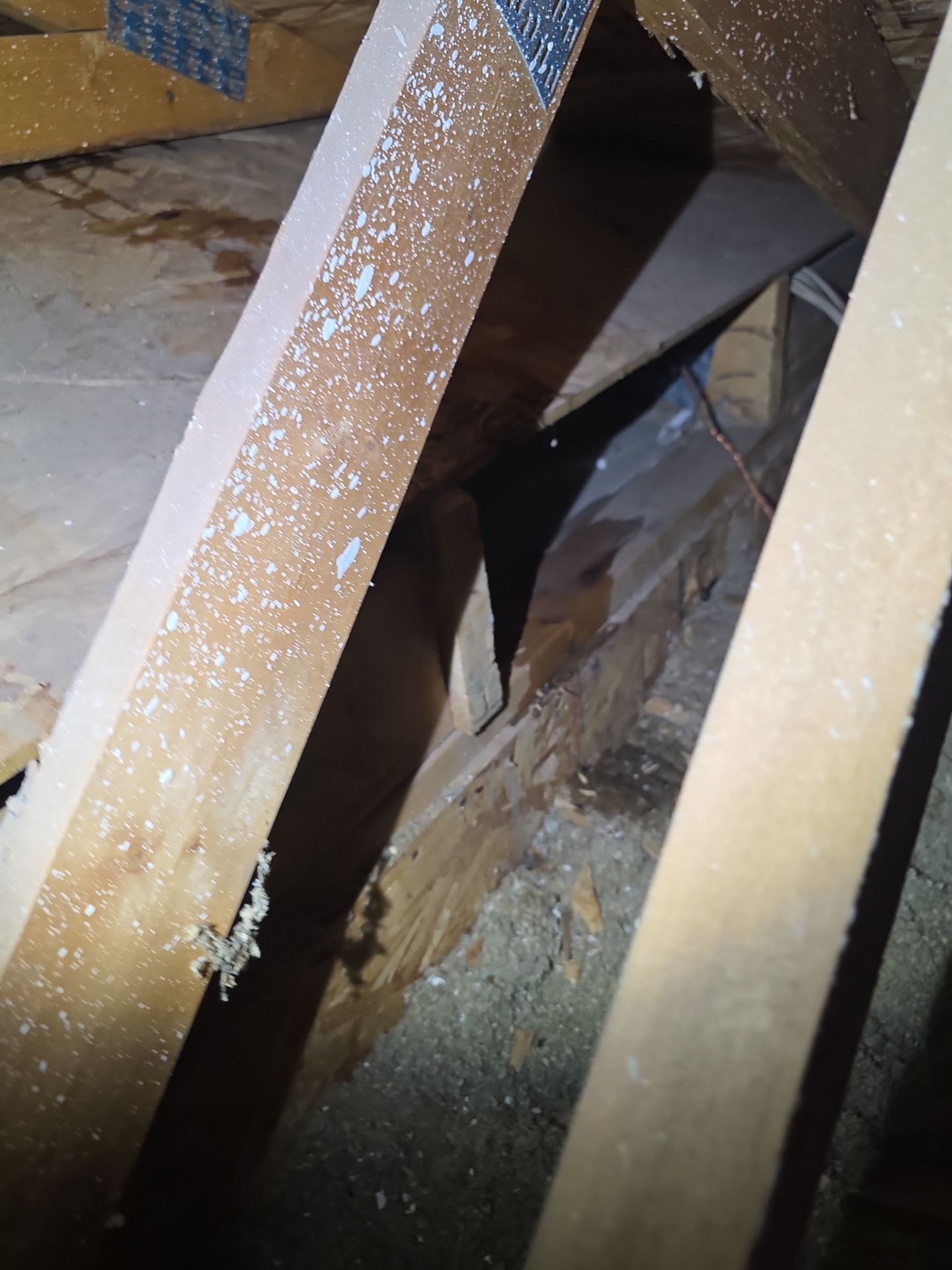Tile Reset with water test in Gilbert by Weather-Tite Roofing