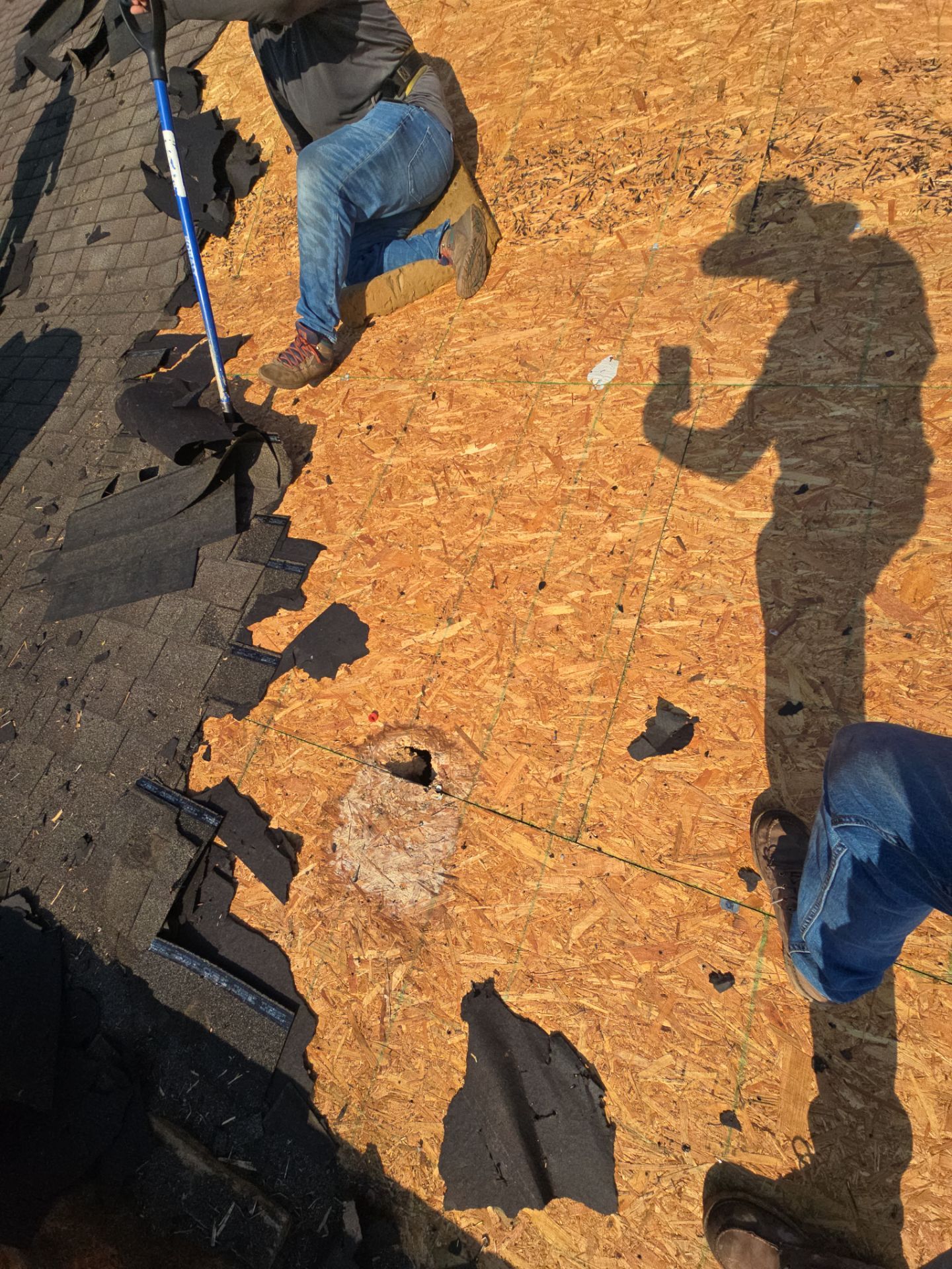 Cole- Project Portfolio  by Honeycomb Roofing and Exteriors