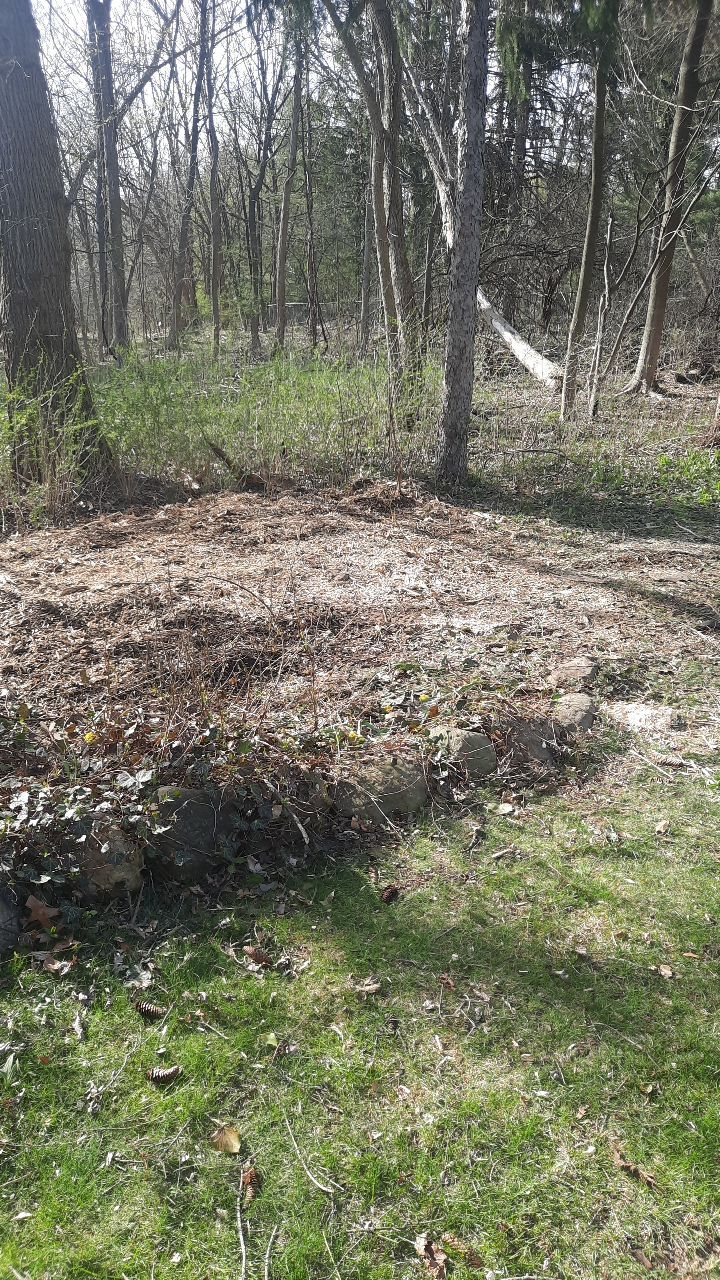 Tree Removal using Tree Removal by Mike Jones & Sons Tree Service LLC 